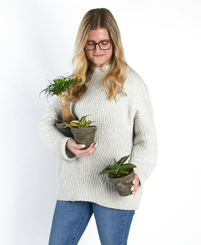 Buy Bloomscape Potted Easy Peasy Collection