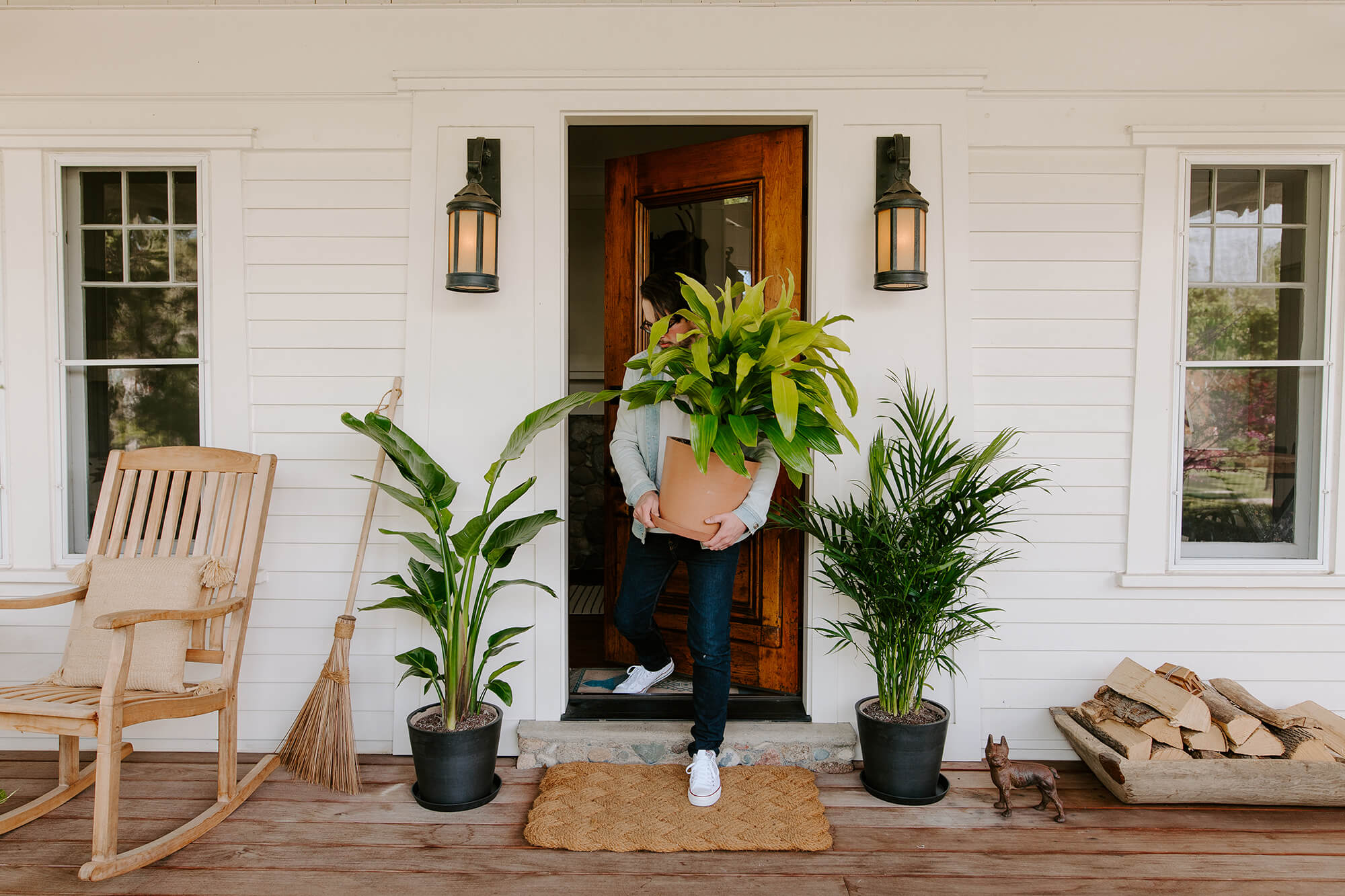 moving your indoor plants outside for summer | bloomscape