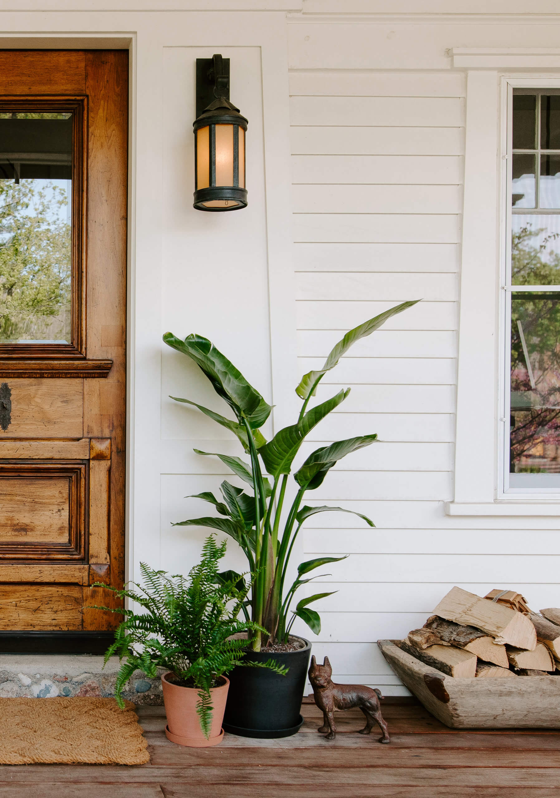 Moving Your Indoor Plants Outside for Summer Bloomscape