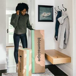 Potted Plants and Plant Gifts Delivered to Their Door | Bloomscape