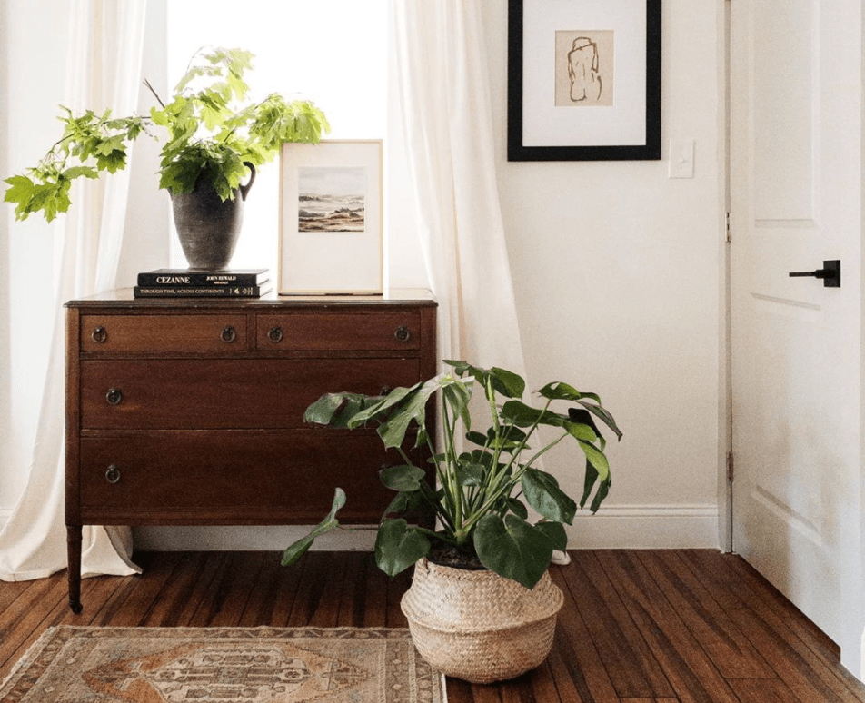 The Plant Care Chronicles: How Plants Taught Artist Zenia Olivares About Embracing Uncertainty