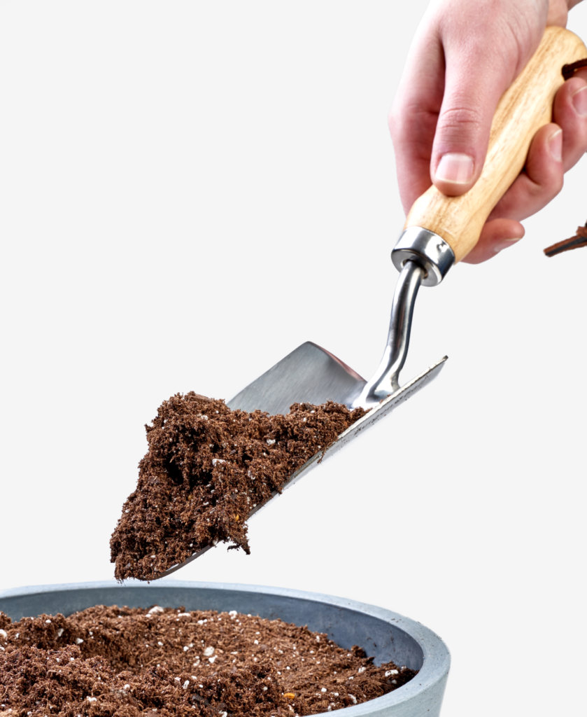 Buy Bloomscape Hand Trowel