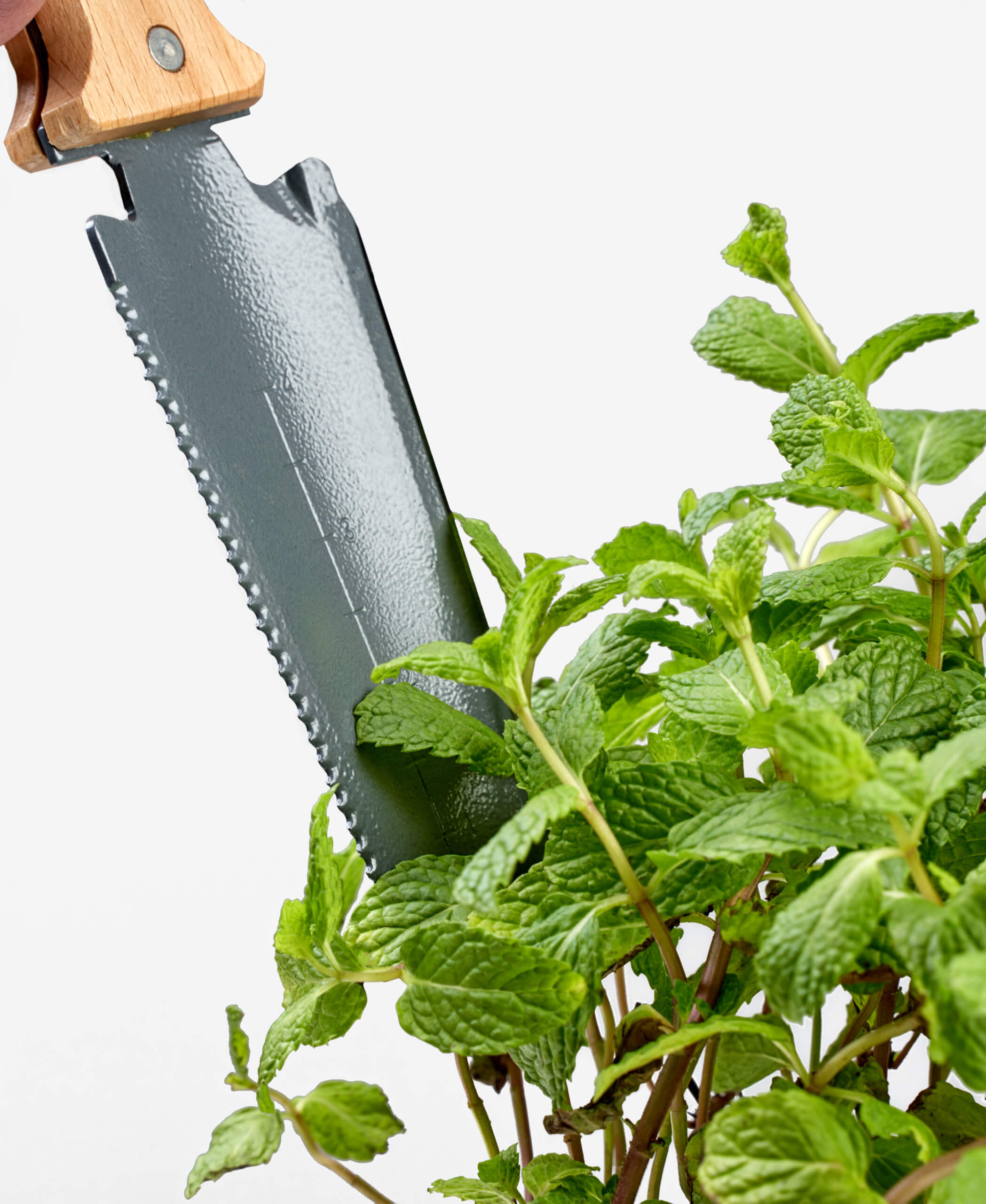 Buy Bloomscape Soil Knife