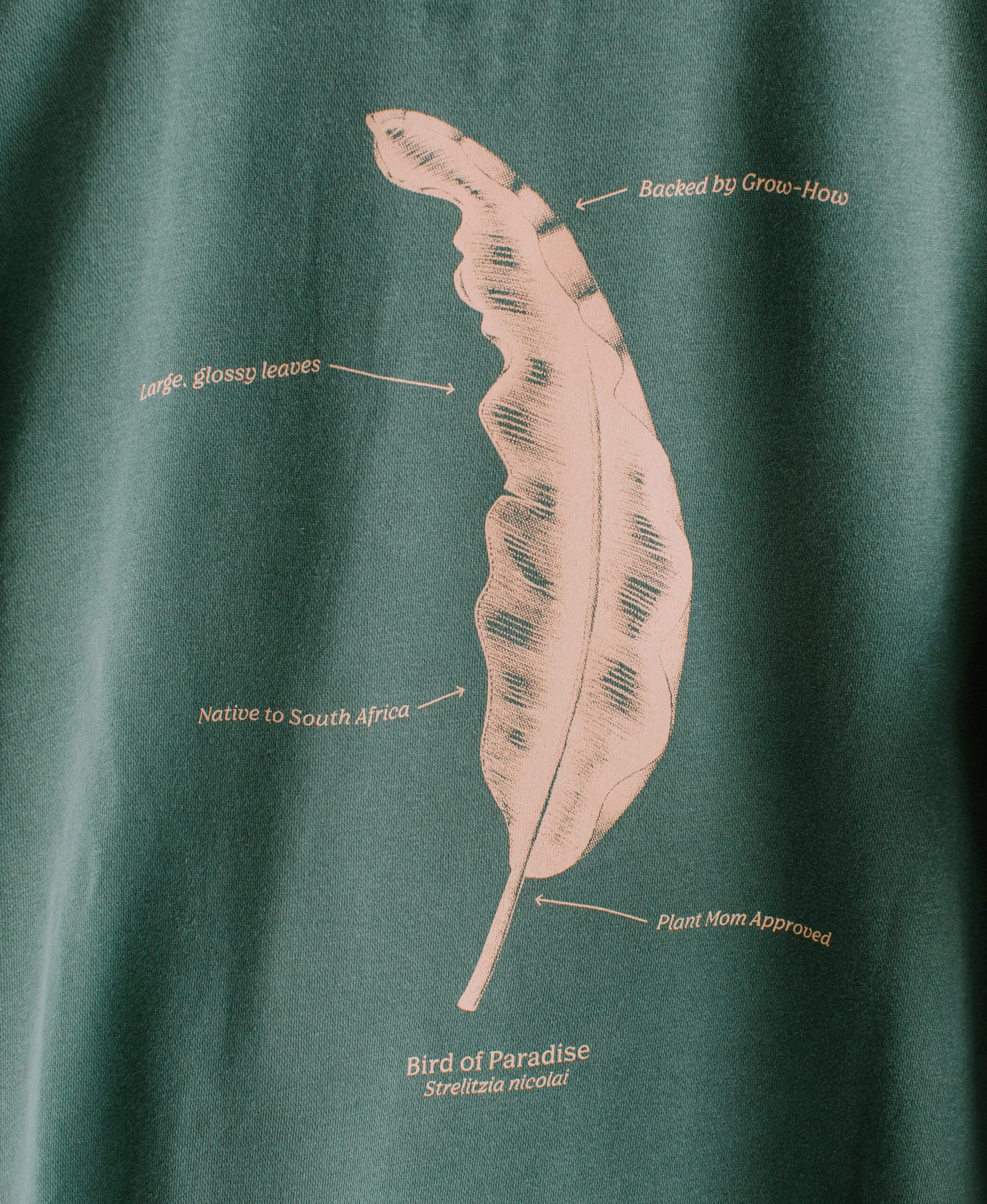 Buy Bloomscape Crewneck Sweatshirt