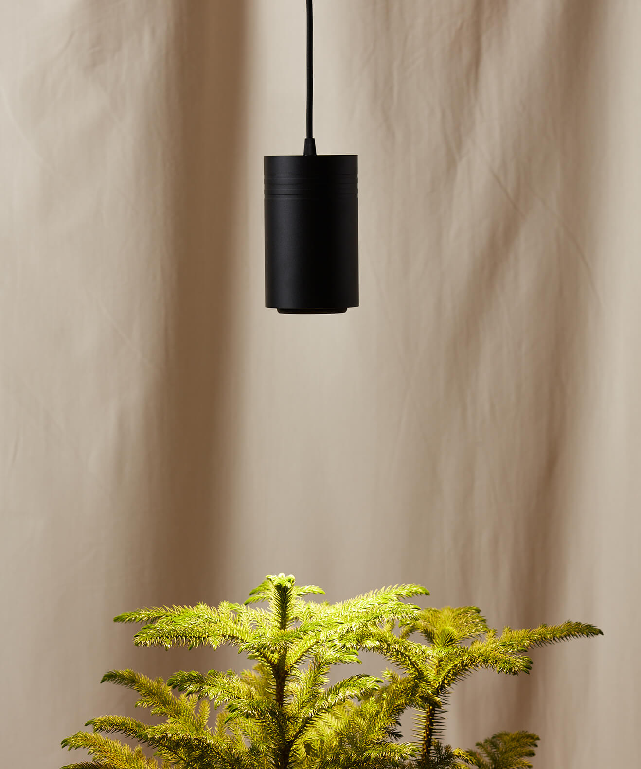 bloomscape_grow-light_large_black_detail