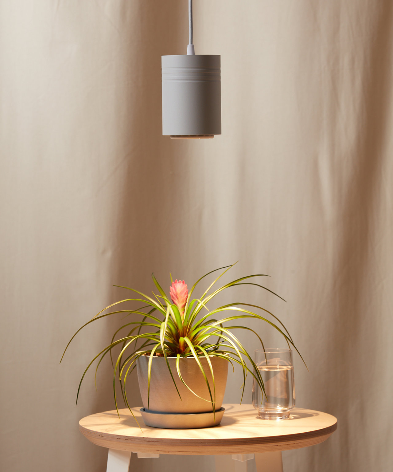 How Grow Lights Take Your Indoor Plants To The Next Level