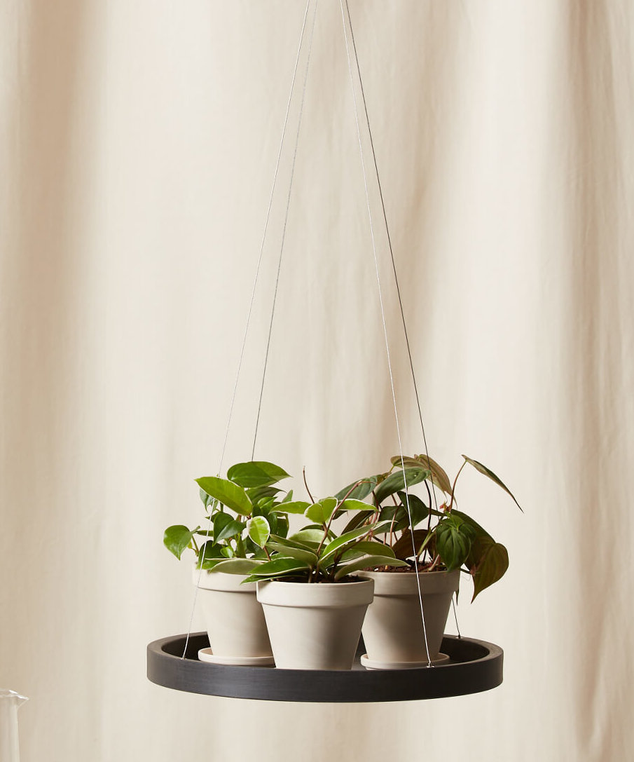 Buy Bloomscape Hanging Saucer