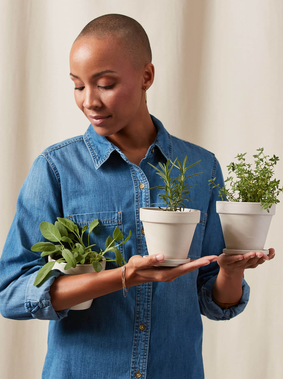 5 Reasons Plant Gift Delivery Is Great For Every Occasion Bloomscape