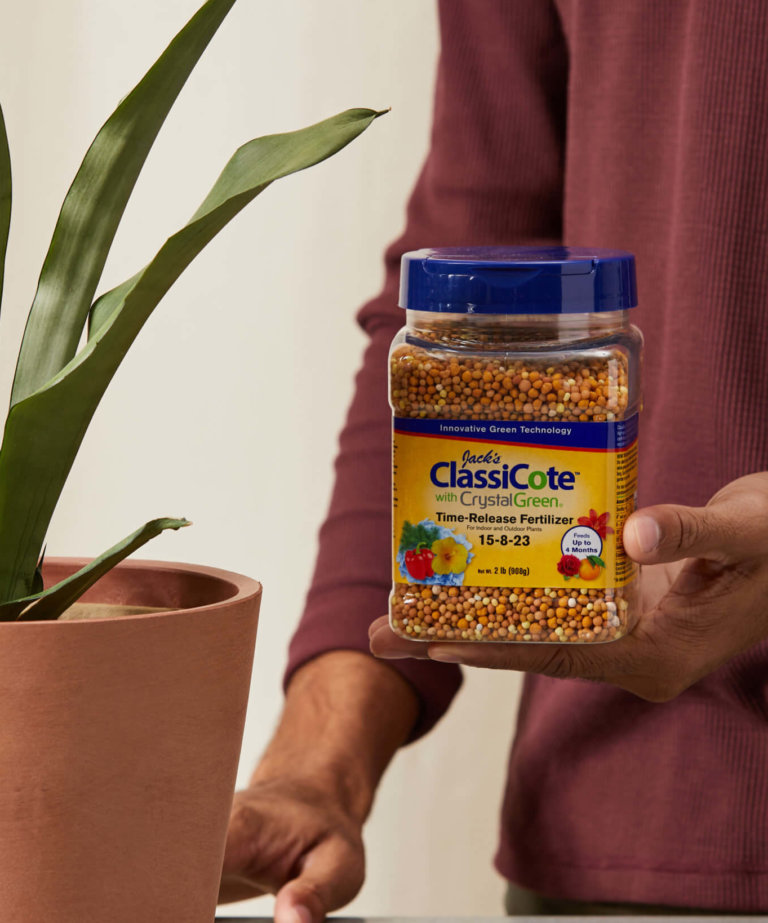 Buy Jack’s Time Release ClassiCote Fertilizer Bloomscape
