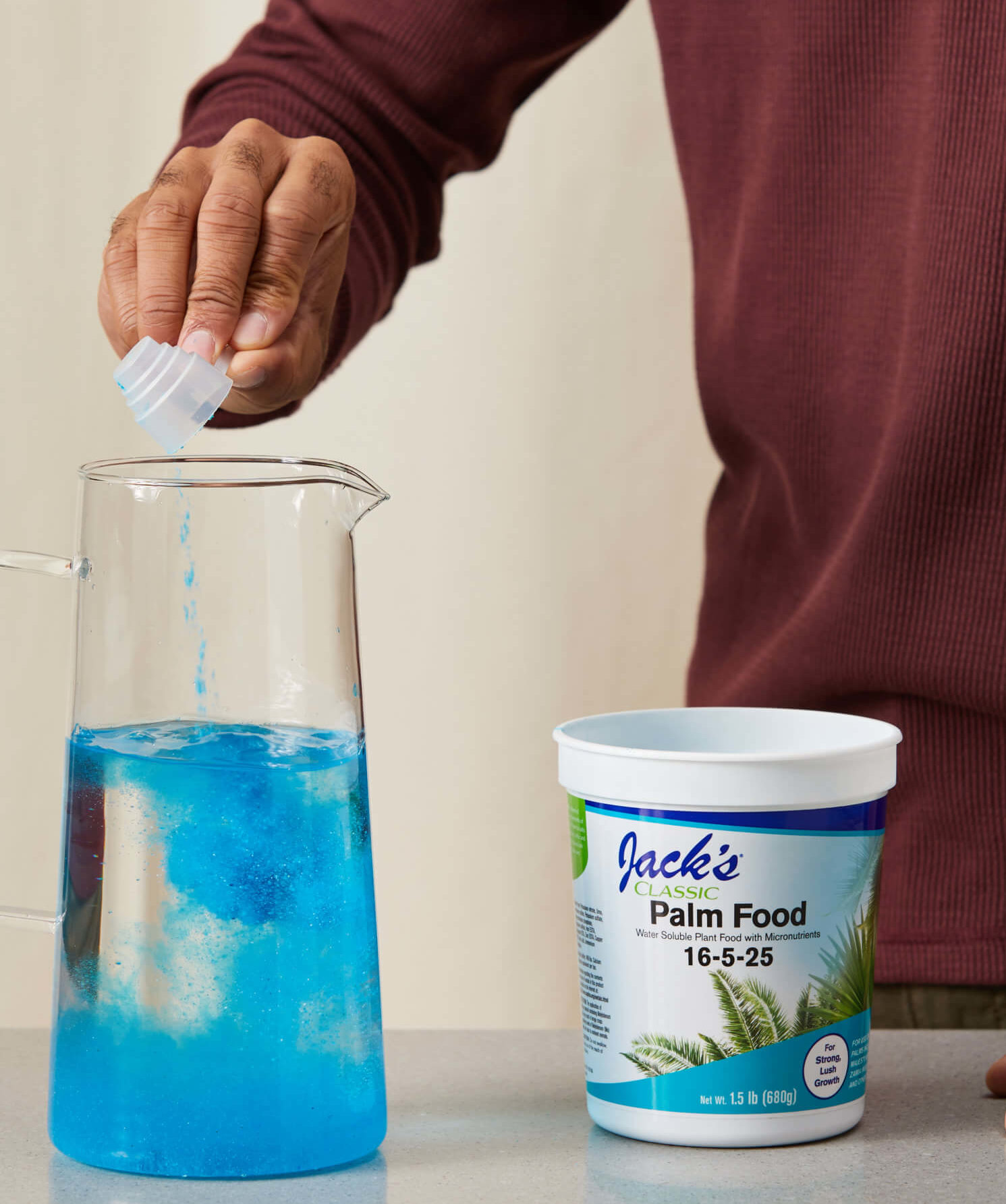 Buy Bloomscape Palm Food Buy Bloomscape Palm Food