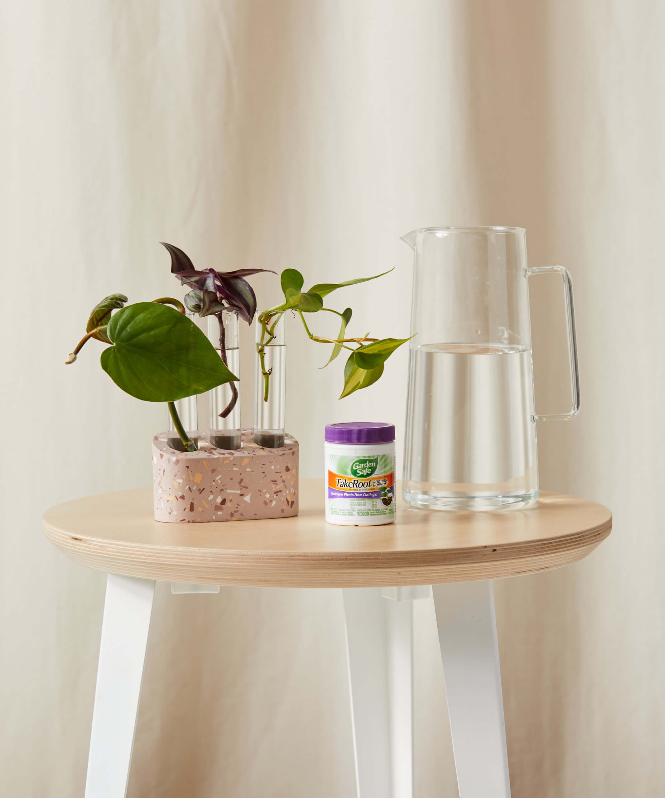 Buy Bloomscape Multi Tube Propagation Kit Buy Bloomscape Multi Tube Propagation Kit