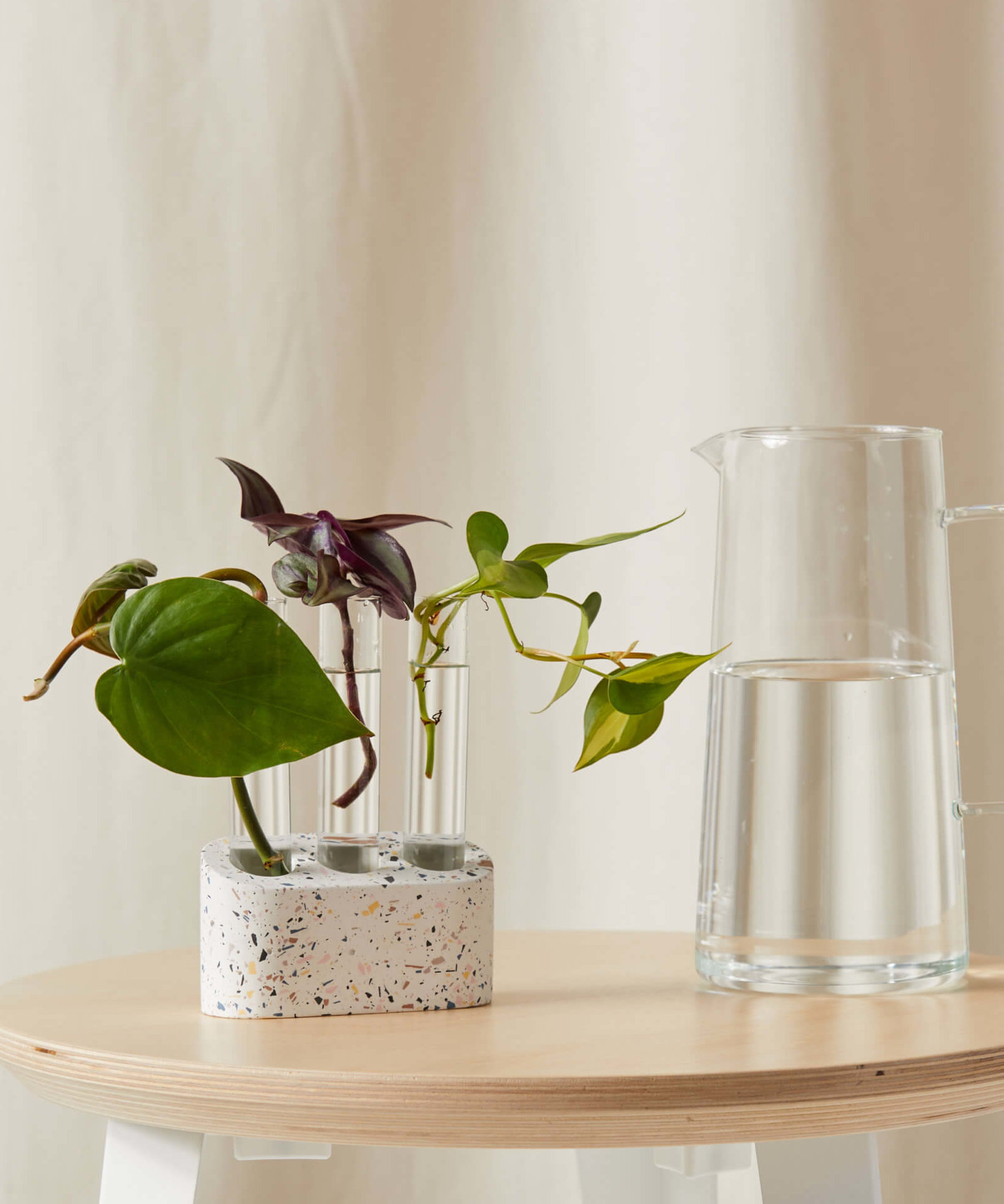 Buy Bloomscape Multi Tube Propagation Kit Buy Bloomscape Multi Tube Propagation Kit