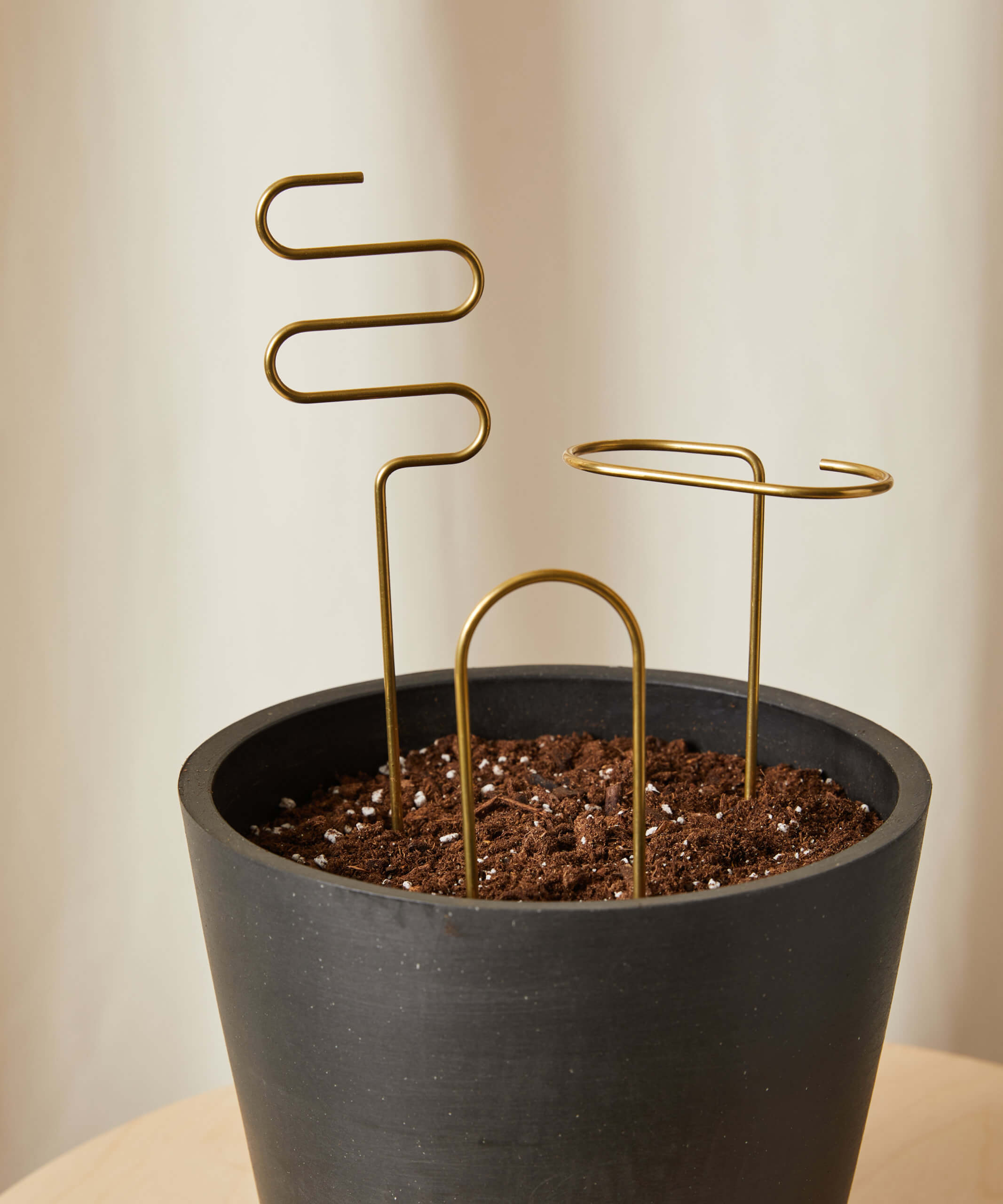 Buy Plant Sticks Bloomscape Buy Plant Sticks Bloomscape