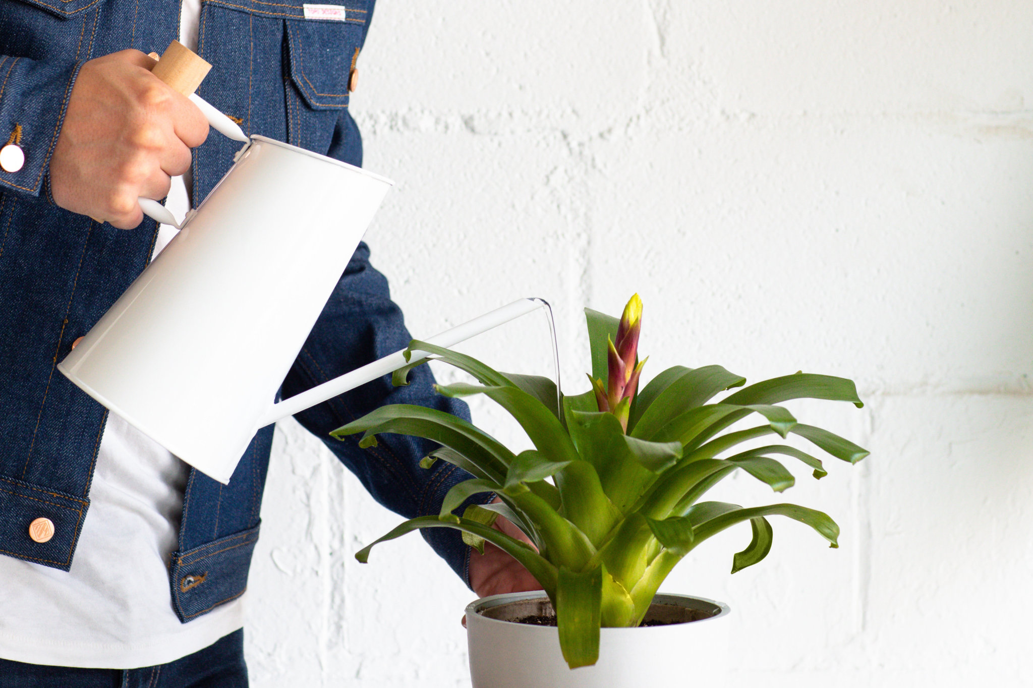 Shop Plant Care Tools and Accessories Bloomscape