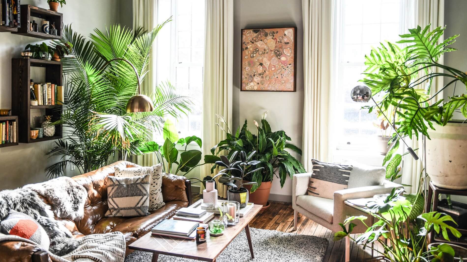 Hilton Carter's Baltimore apartment living room with many plants.