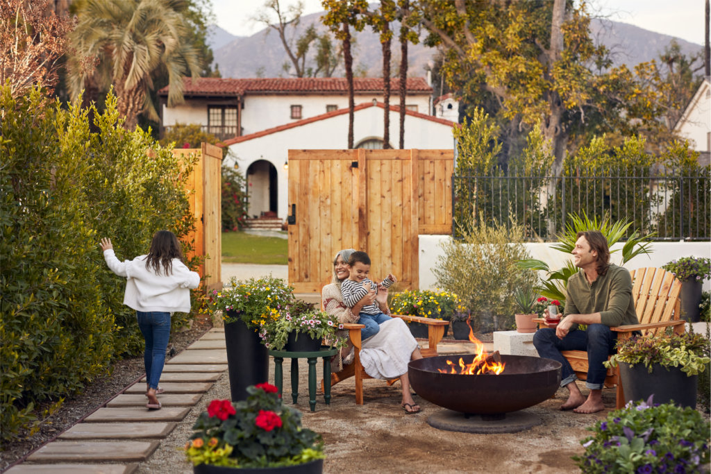 Outdoor porch and patio plants