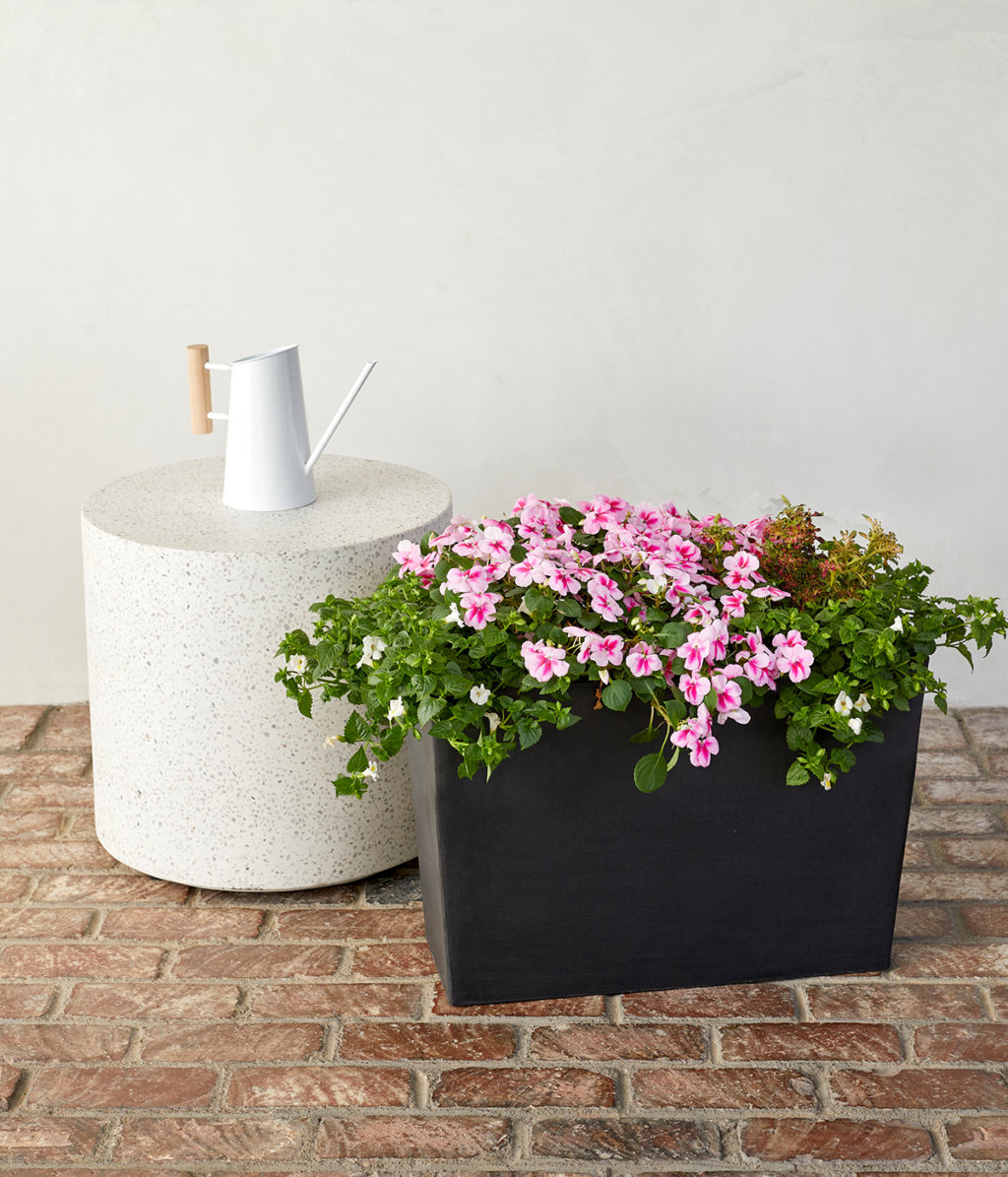 Shop Recycled Plastic Pots for Indoor and Outdoor Plants | Bloomscape