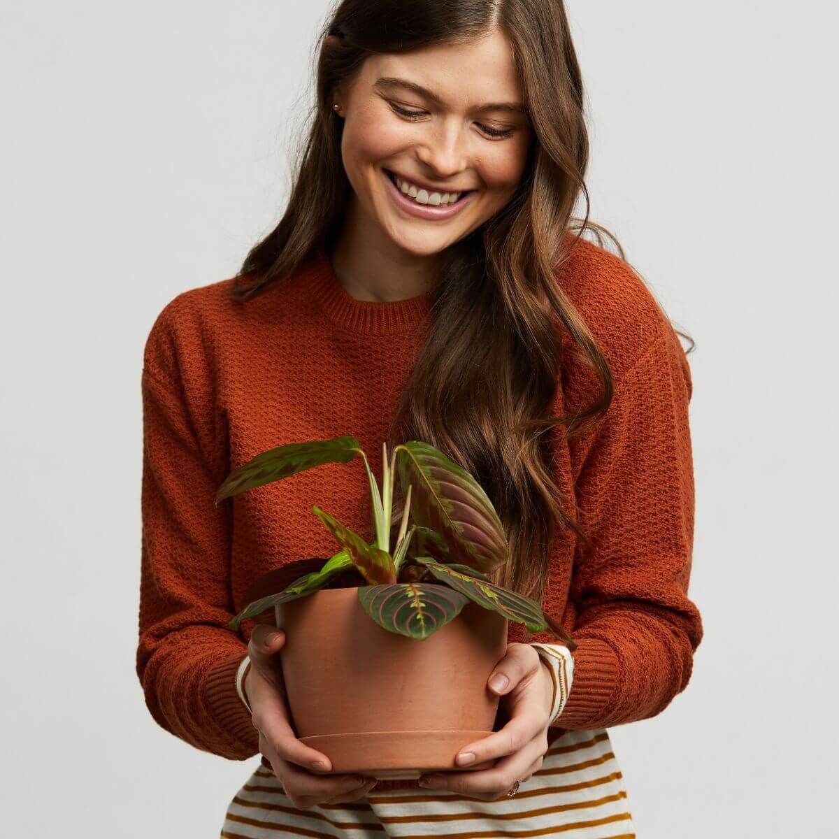 Shop All Plants | Bloomscape