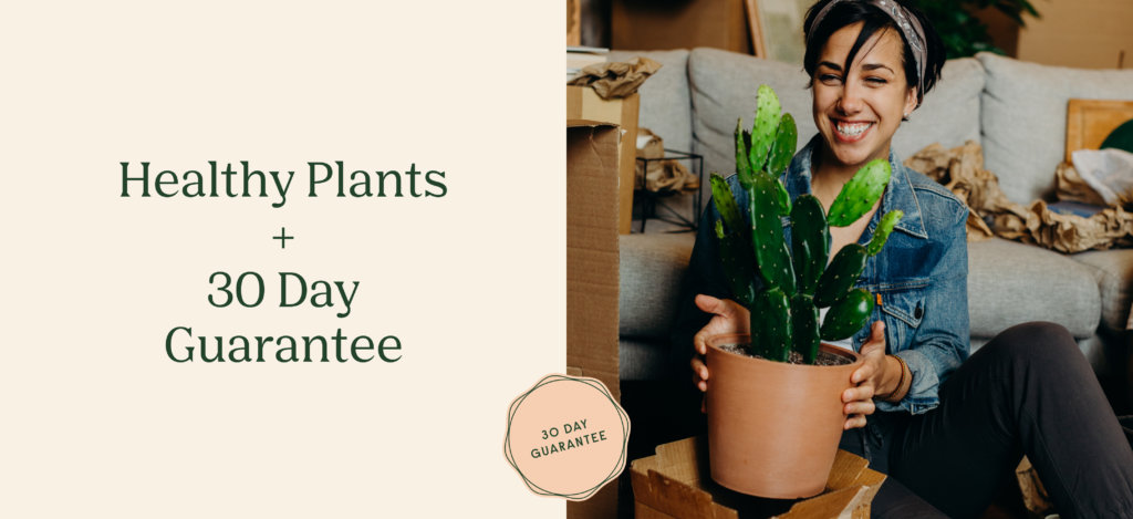 30-day guarantee on our plants