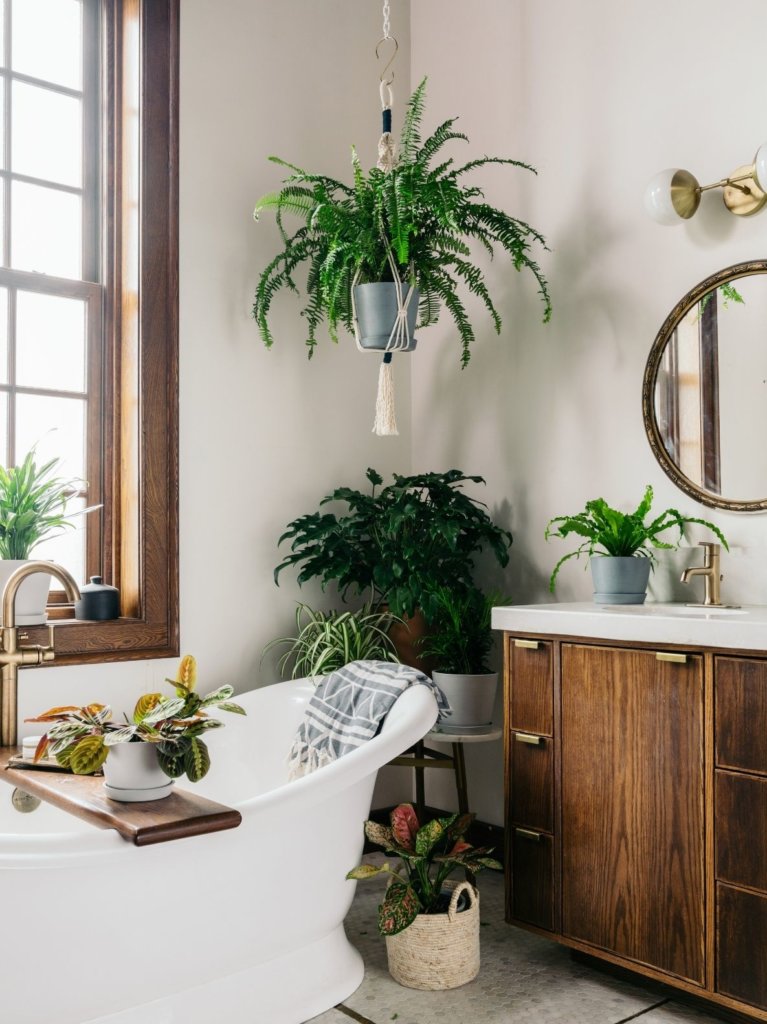 Bathroom decorated with Bloomscape plants