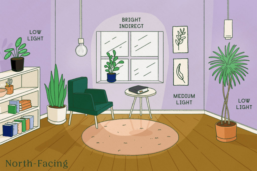 Grow Lights for Indoor Plants — Grow Light Guide For Plants