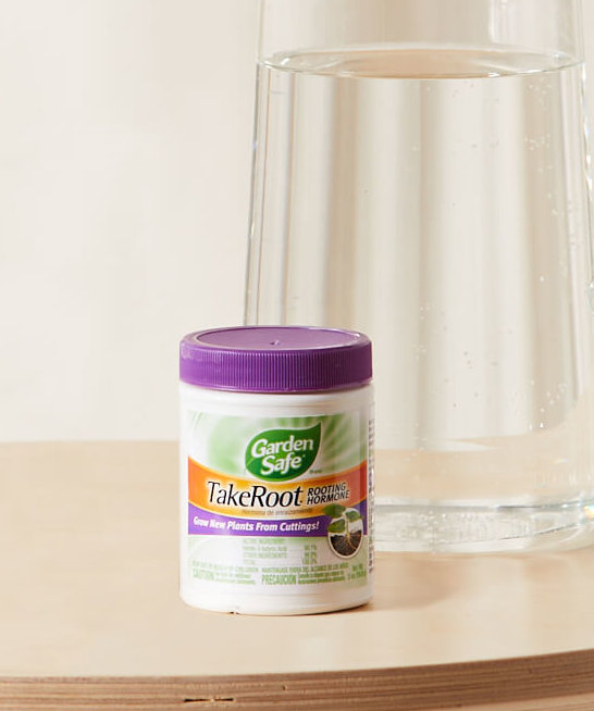 bloomscape_takeroot-powder copy