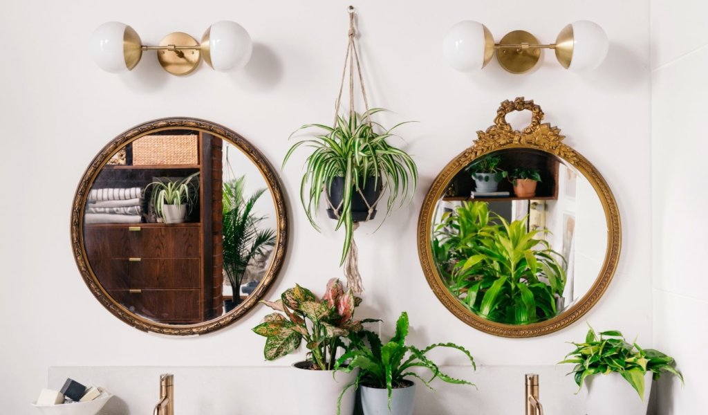Two mirrors above two sinks in a stylish bathroom with a Spider Plant in a macrame plant hanger