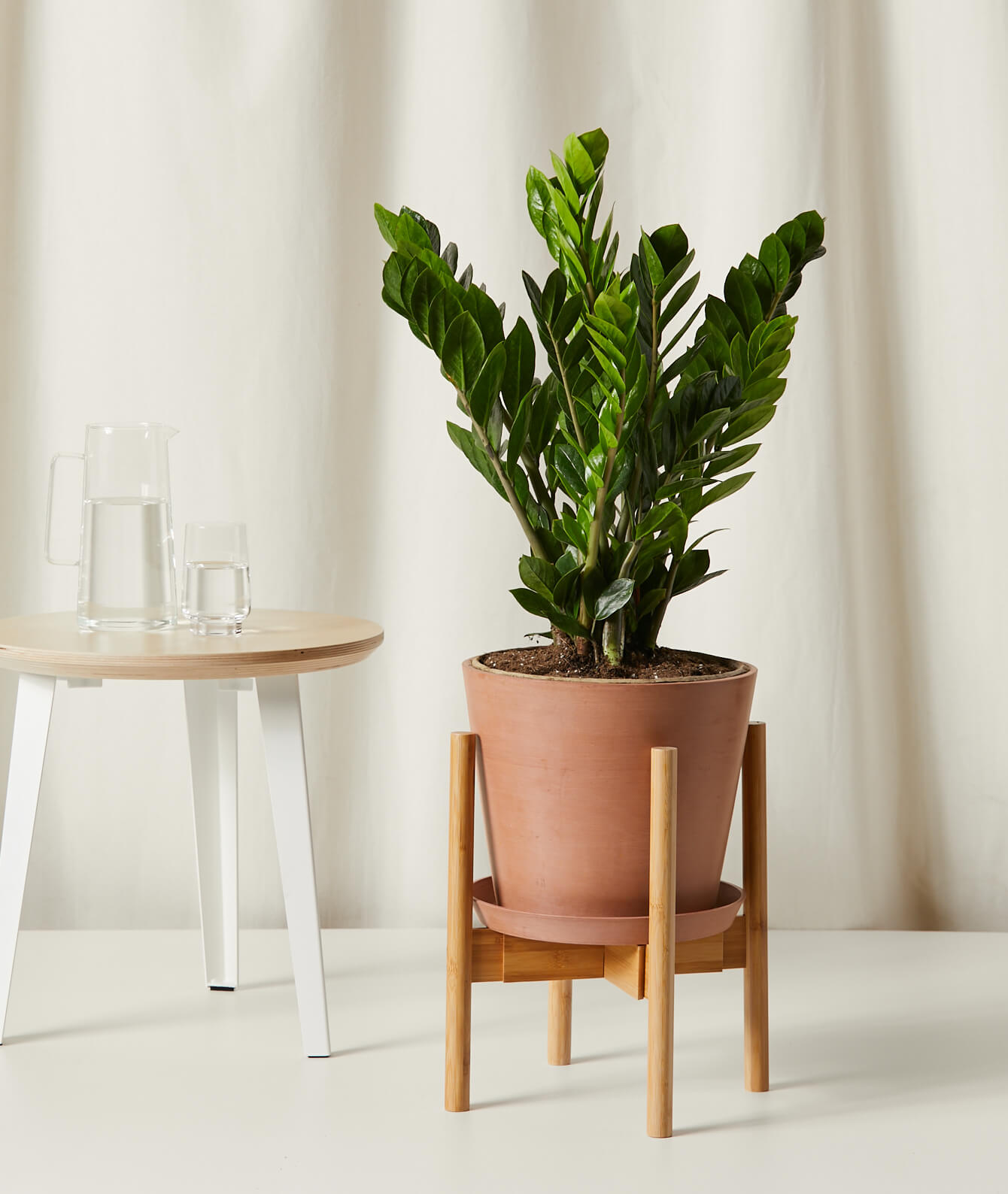 bloomscape_adjustable-plant-stand_bamboo_withplant