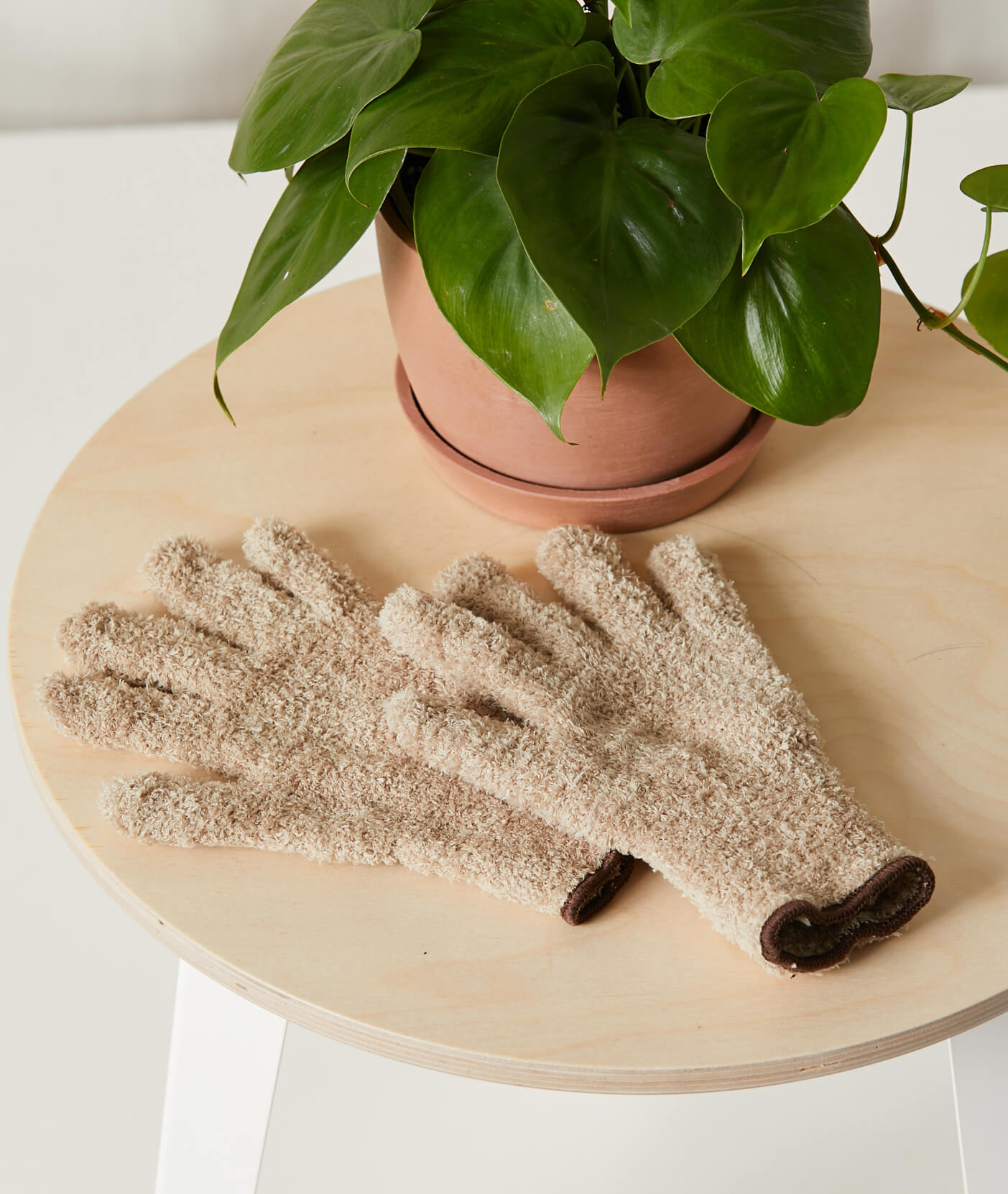 Unbiased plant tool review: Plant dusting gloves
