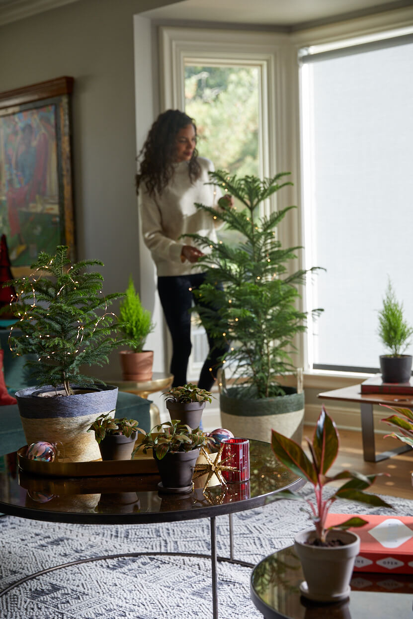 Bloomscape-HH-0041-edit