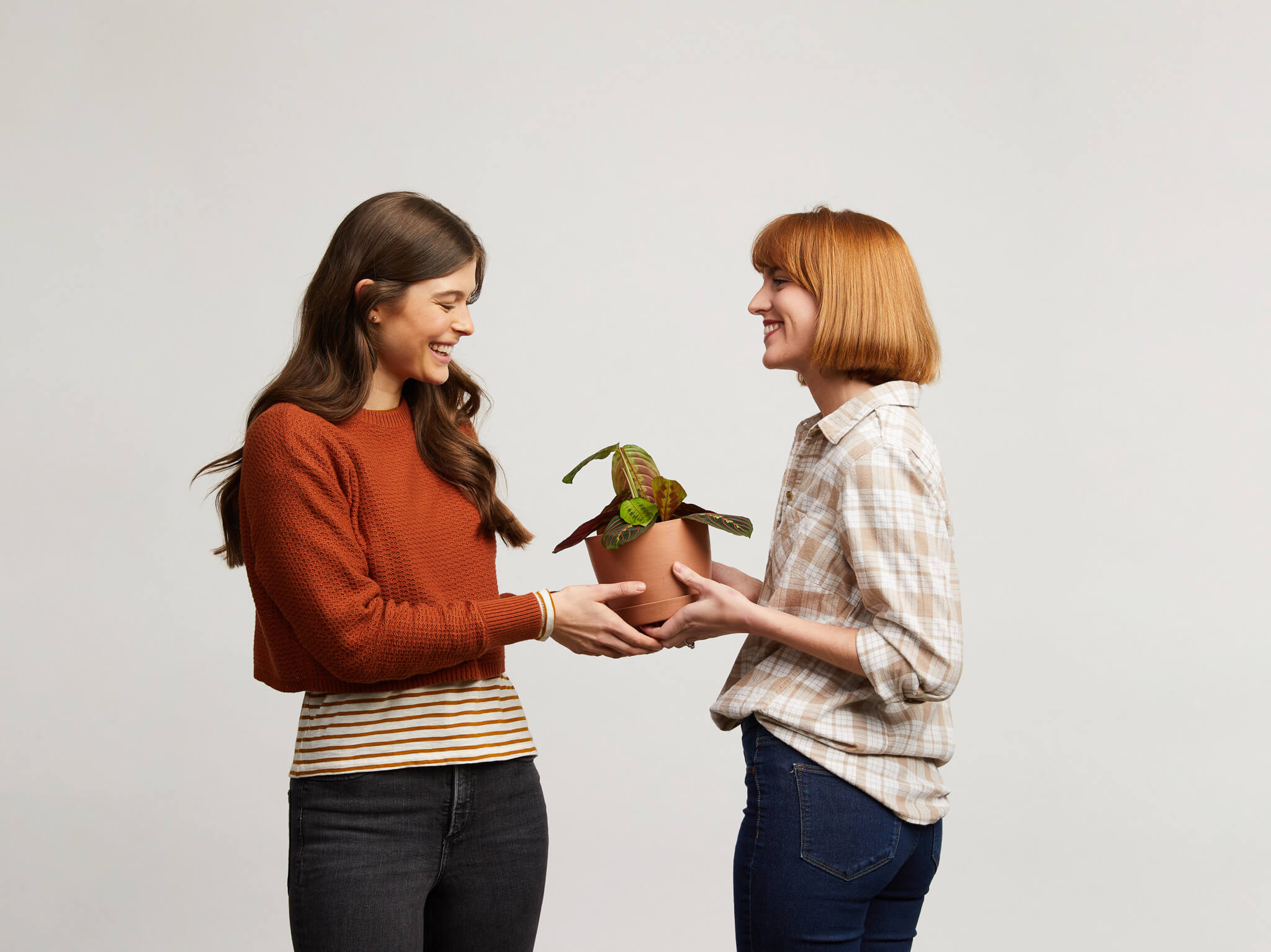 Two young women holding a Bloomscape Red Prayer Plant