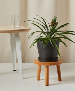 Buy Wooden Plant Stool | Bloomscape