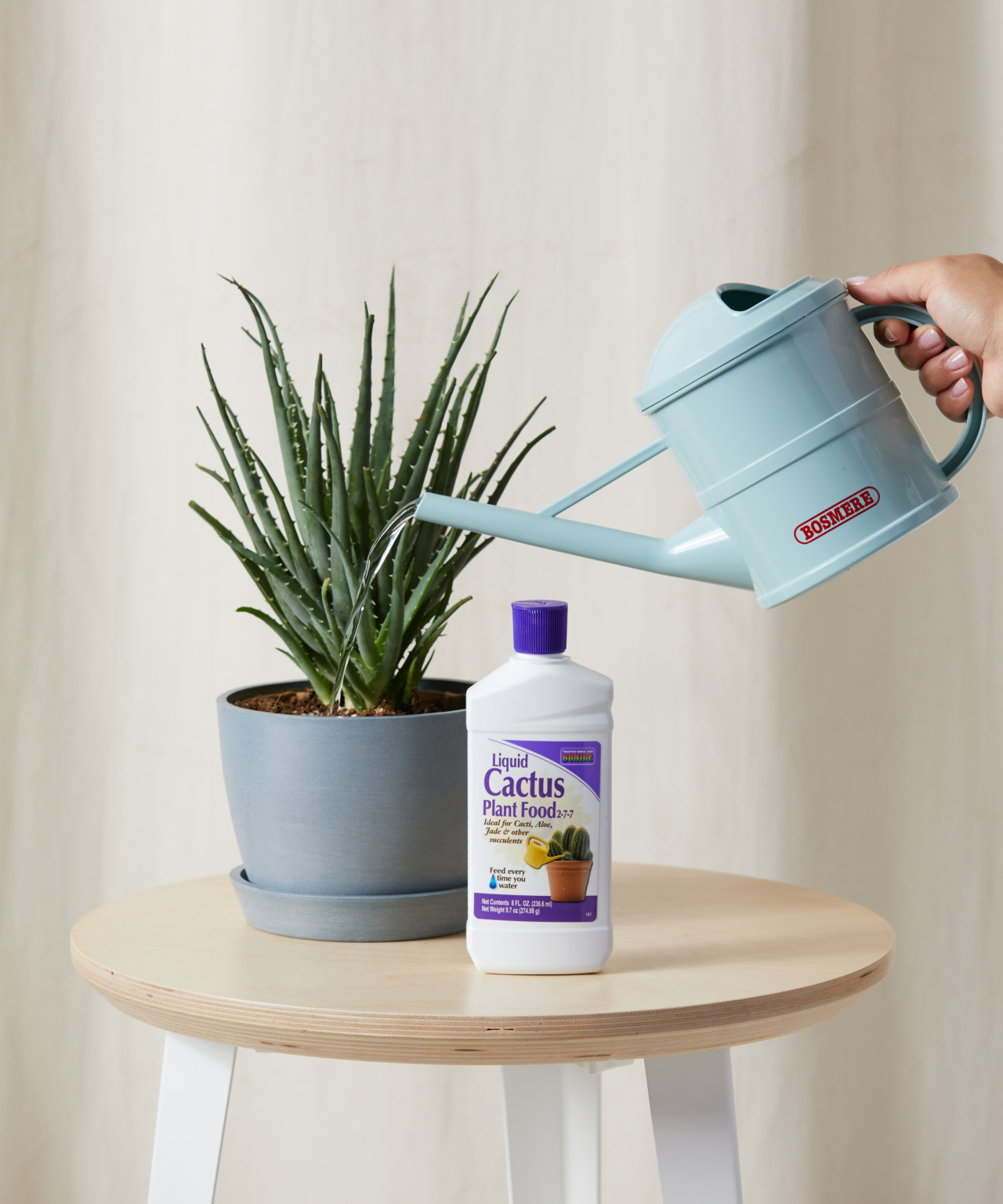 Shop Plant Care Essentials for Indoor Plants Bloomscape