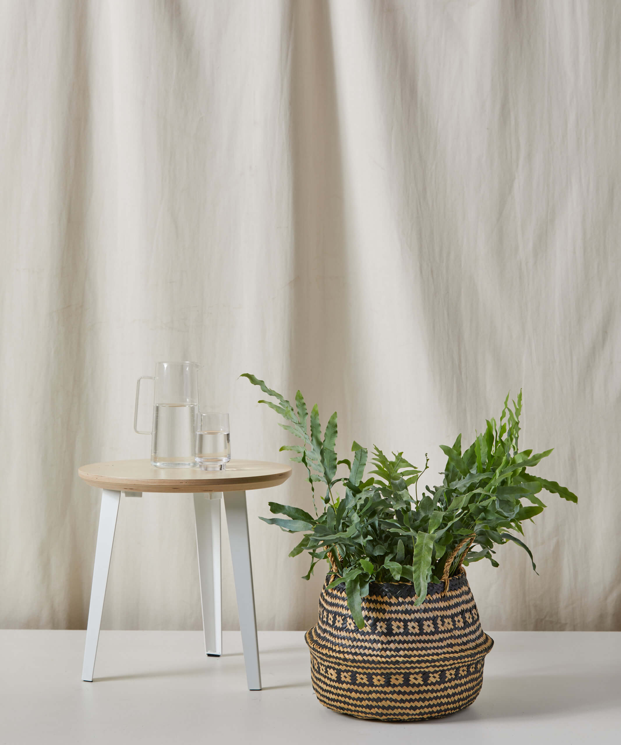 bloomscape_natural-black_lg_2