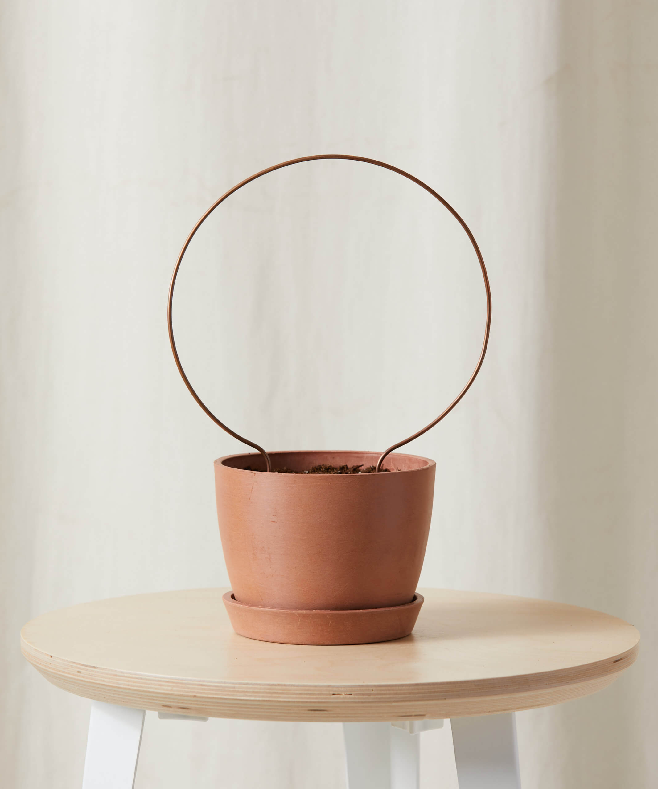 bloomscape_round-trellis_1