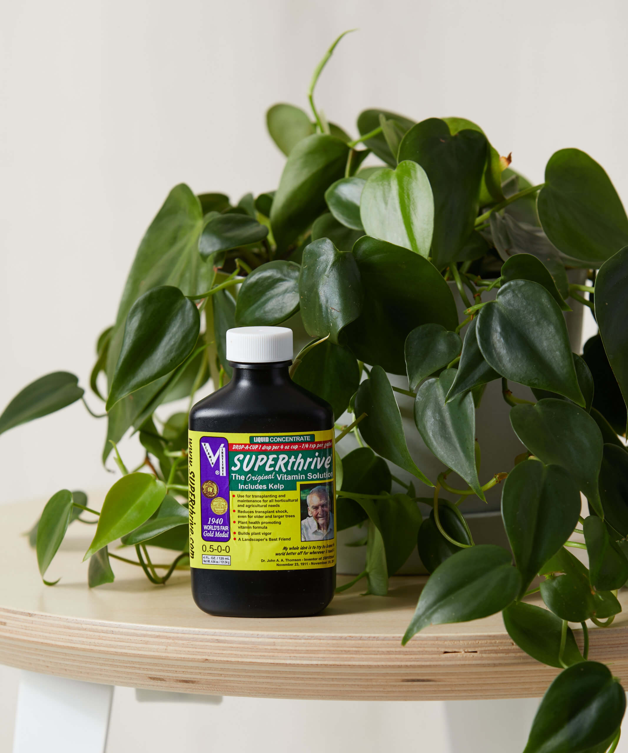 bloomscape_superthrive_1