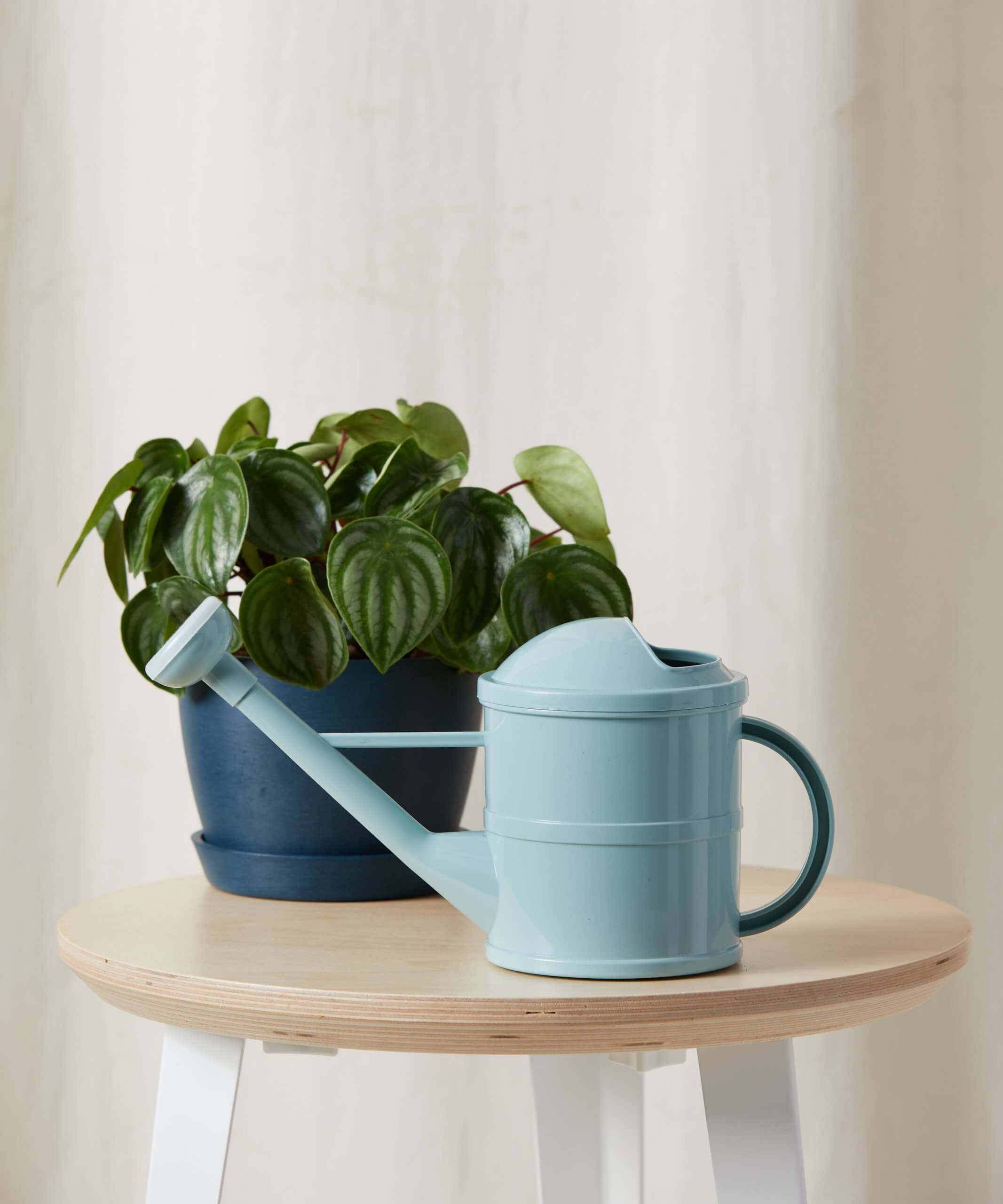 bloomscape_watering-can-light-blue