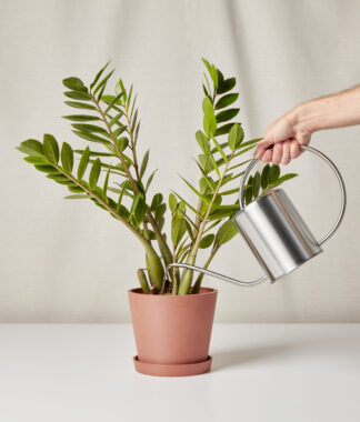 silver watering can and clay ecopot