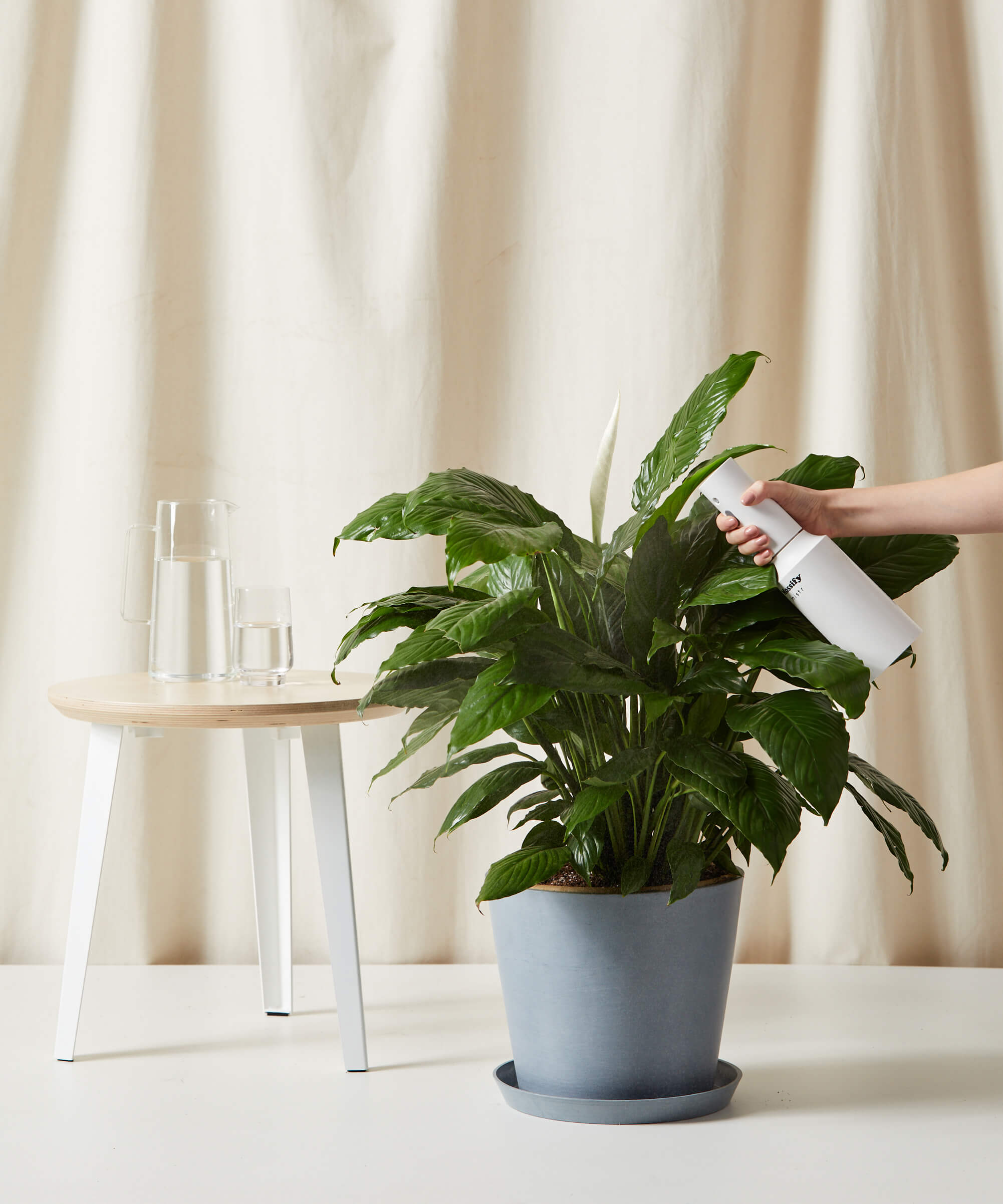 bloomscape_peace-lily_xl_care-product_2