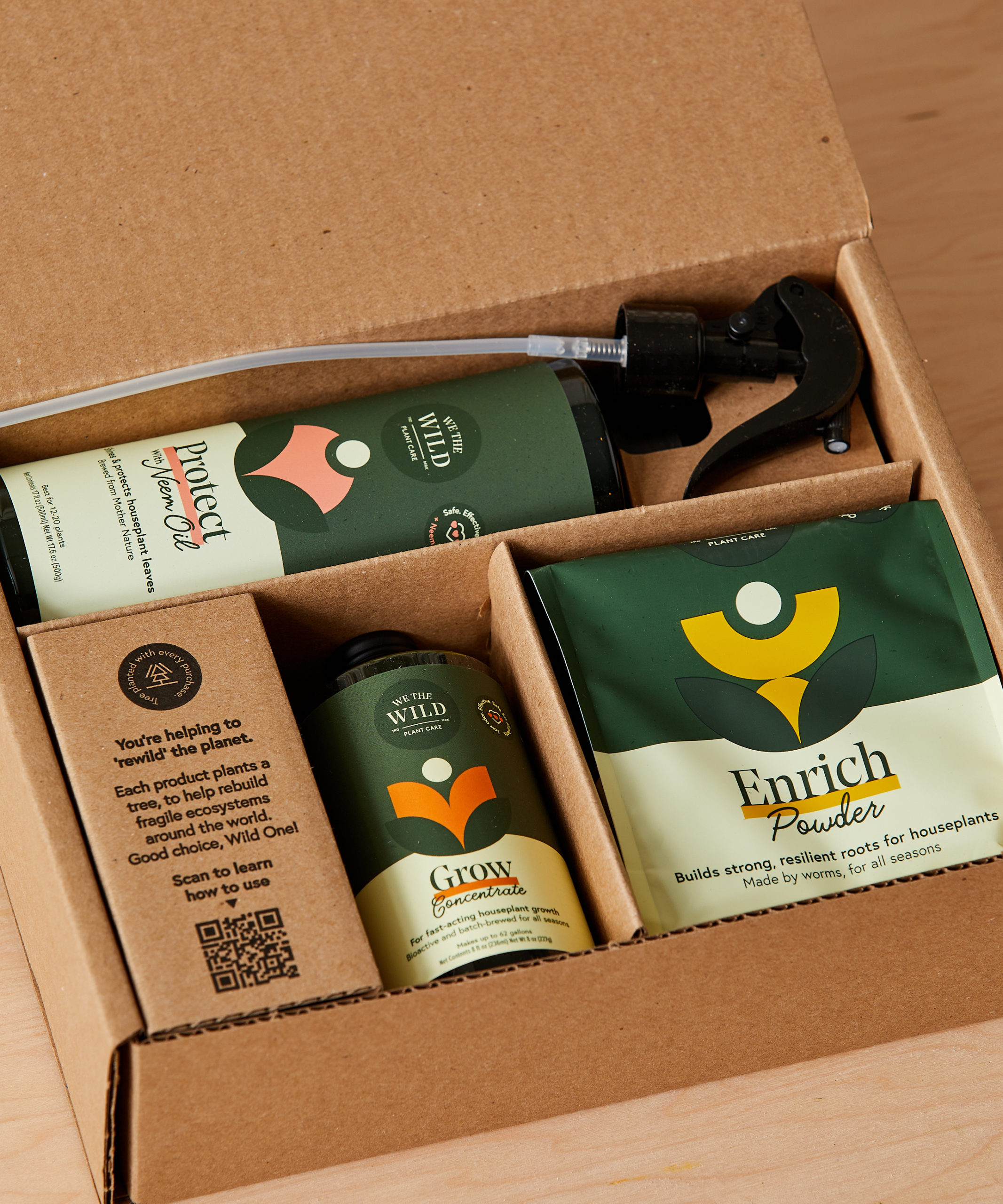 bloomscape_christmas-care-set_8