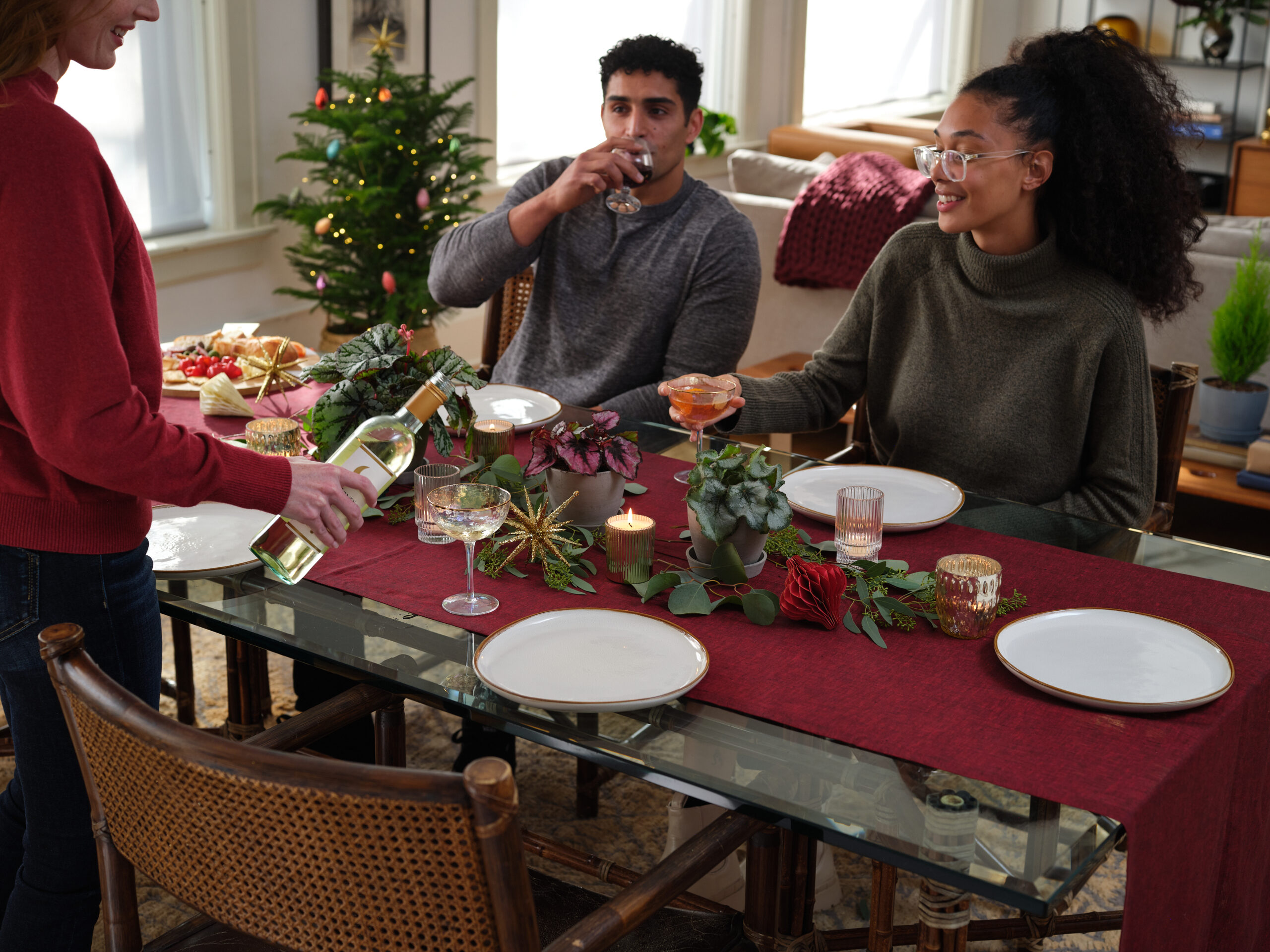 begonia collection at table with people celebrating the festive season