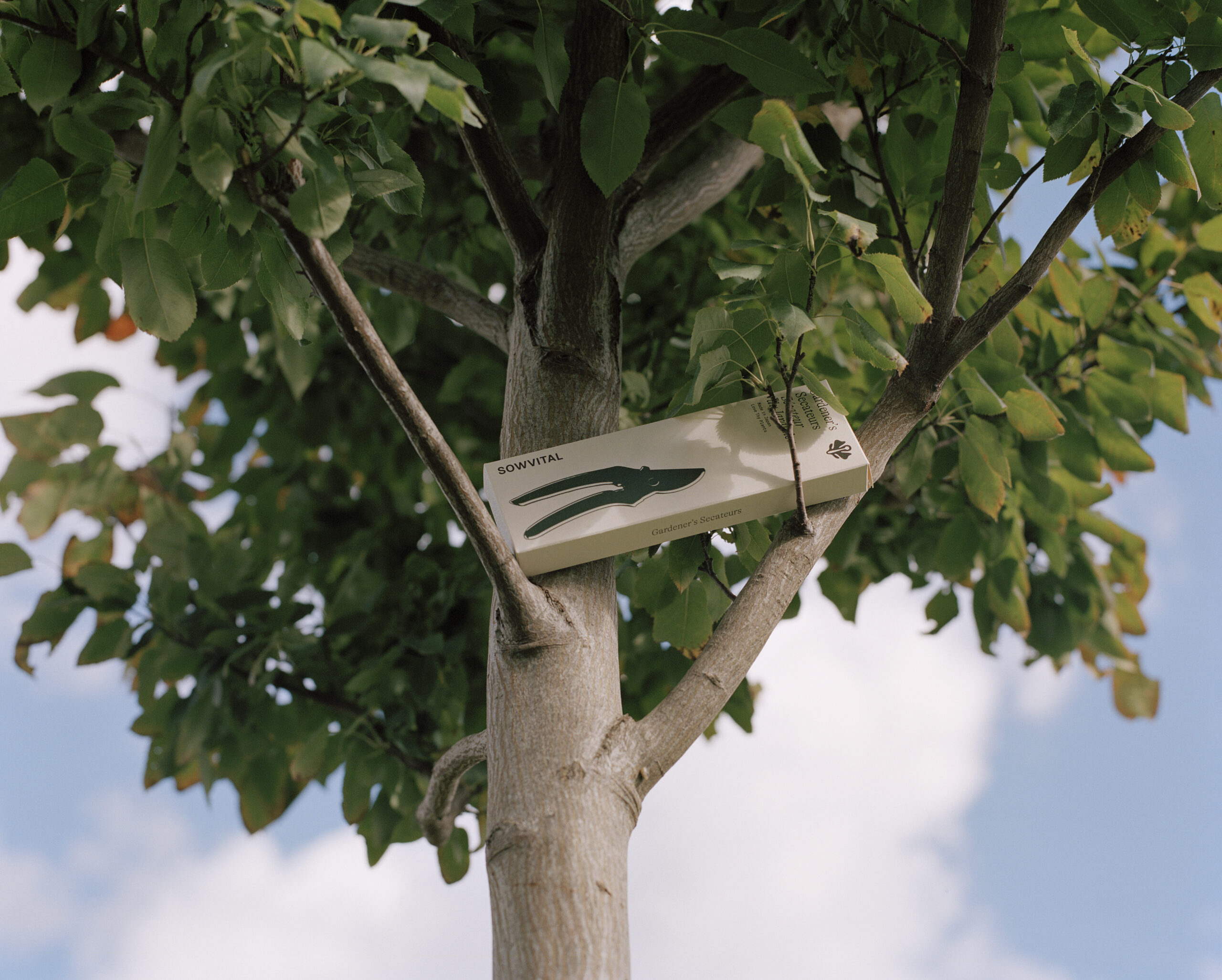 Product images shot from outdoors in Paris. gardener's secateurs in box