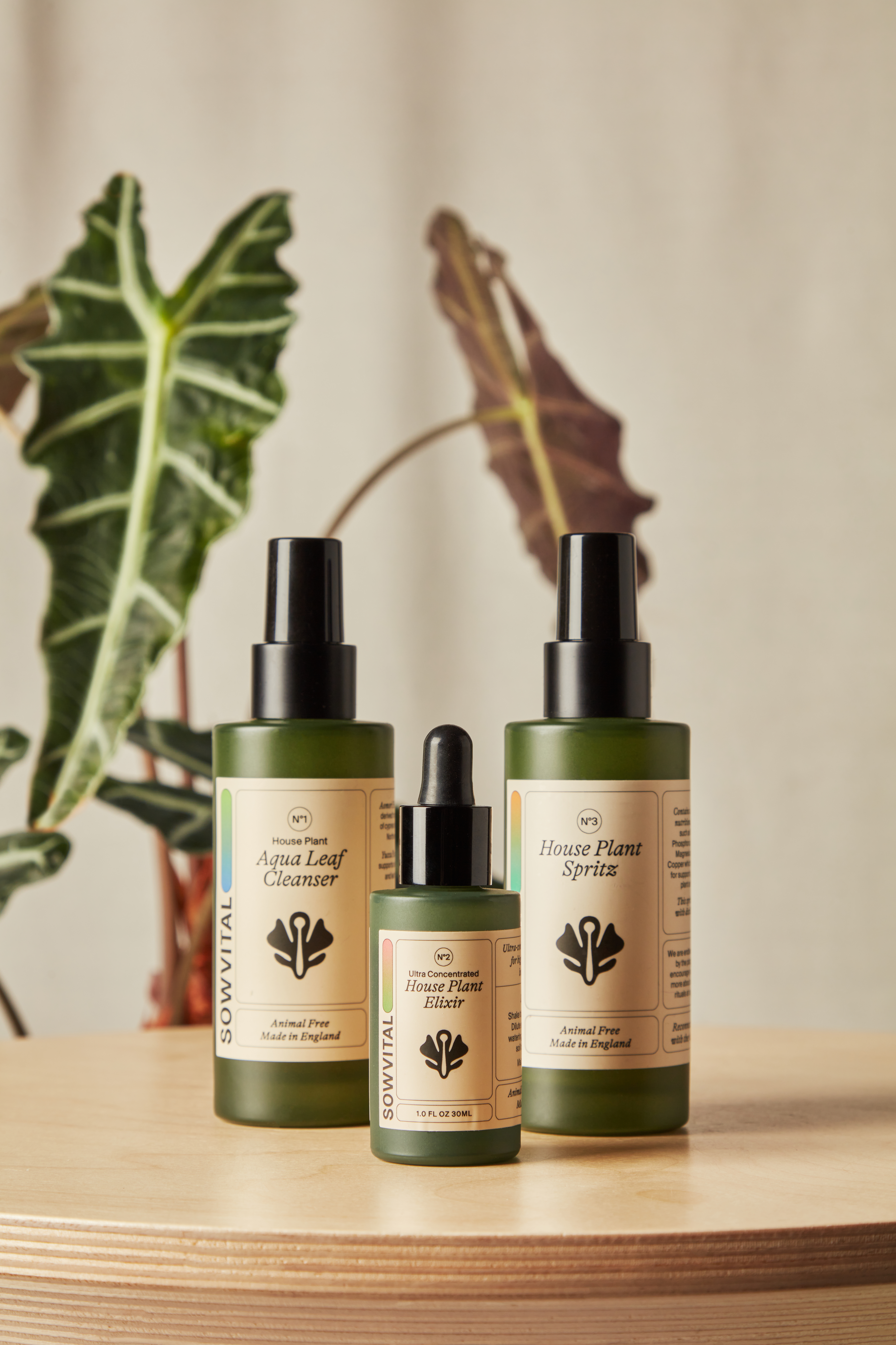 sowvital starte kit sowvital discovery set bloomscape styled