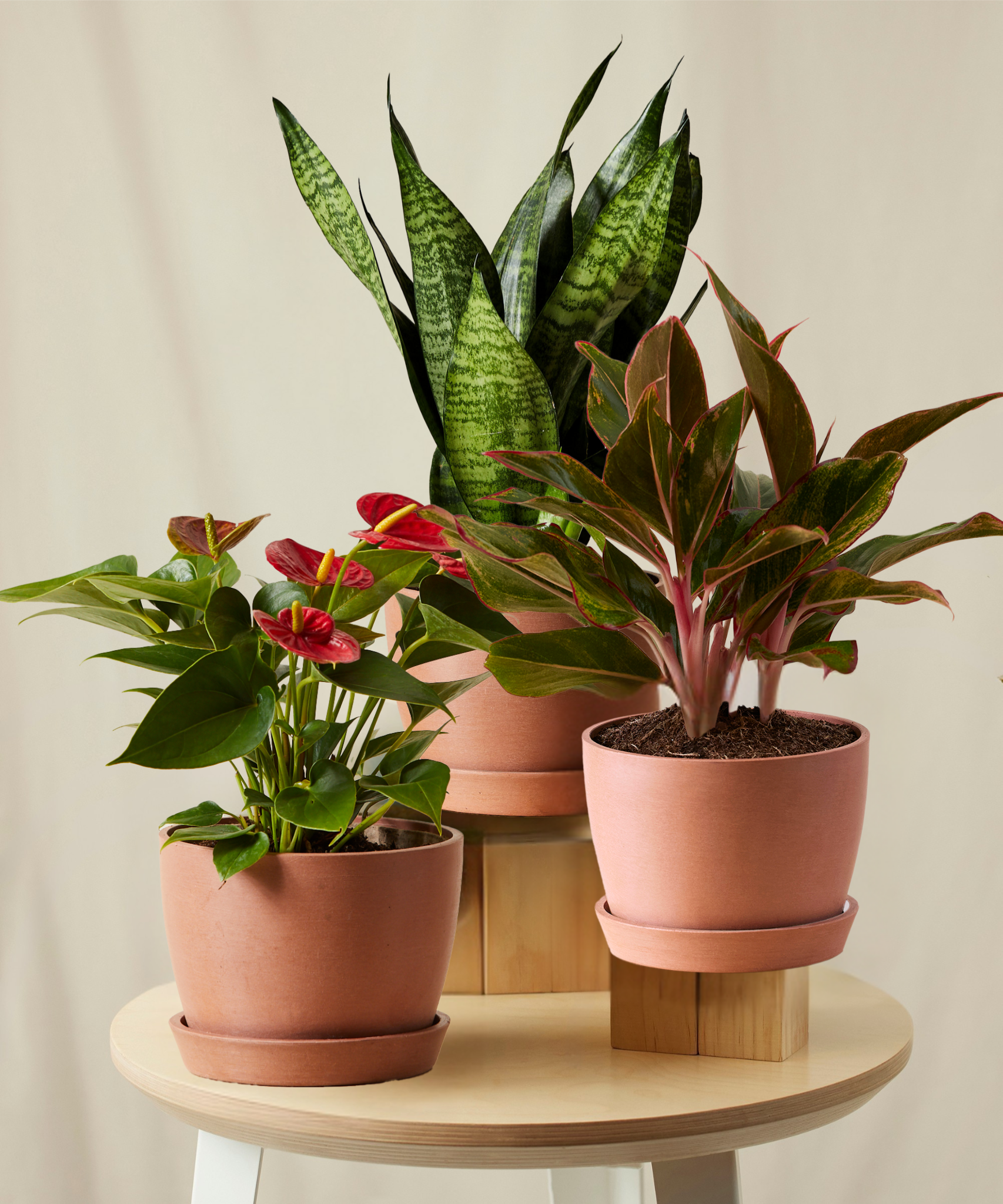 Natural Health Collection