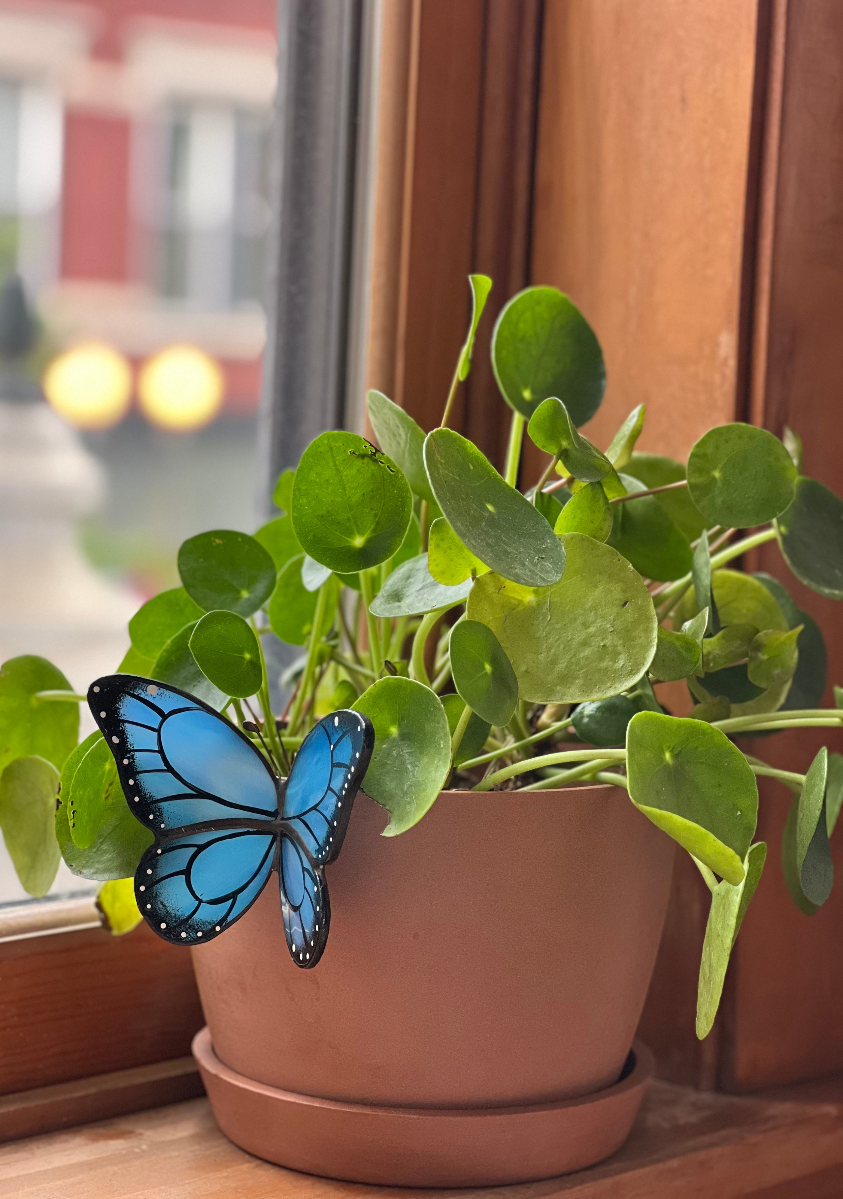 Blue Butterfly Pot Hugger Detail