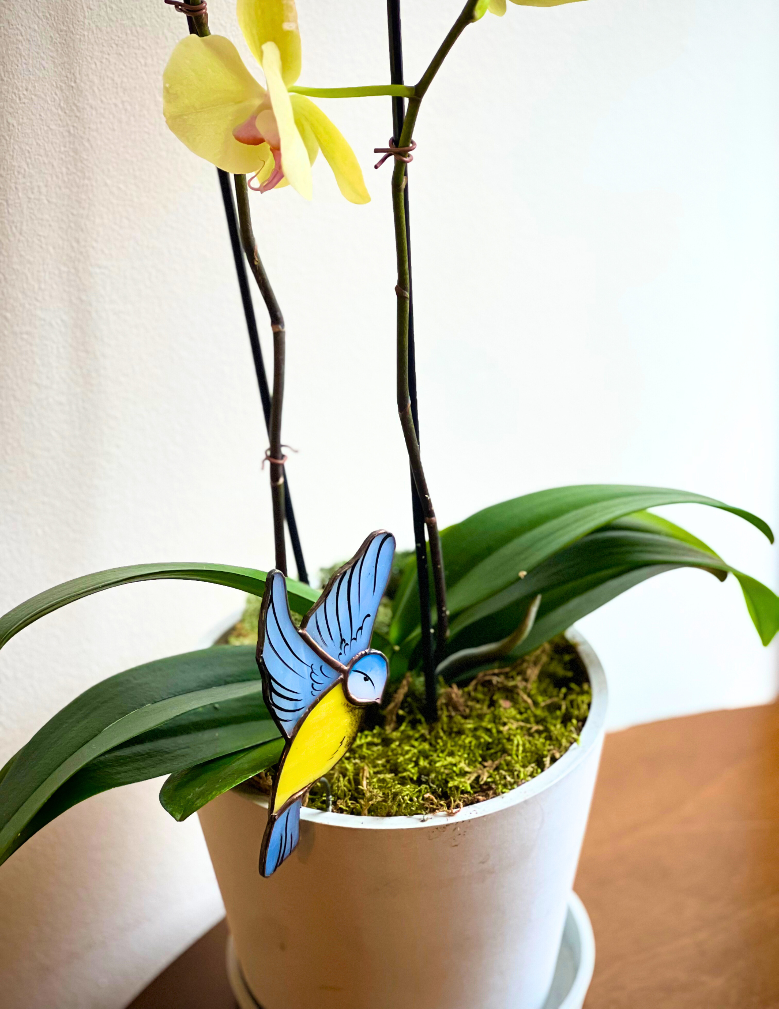 Blue Tit Bird Pot Hugger On Table