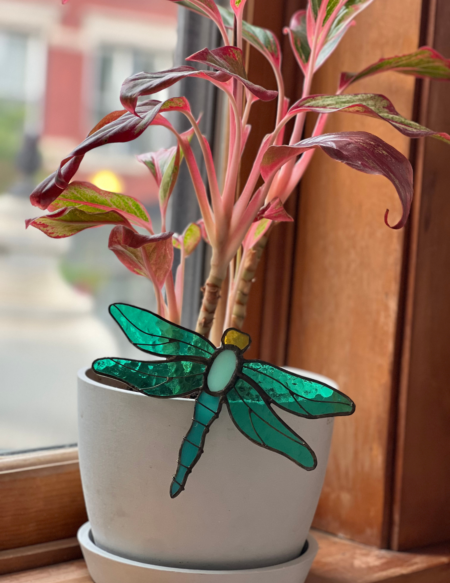 Dragonfly Pot Stake on Windowsill