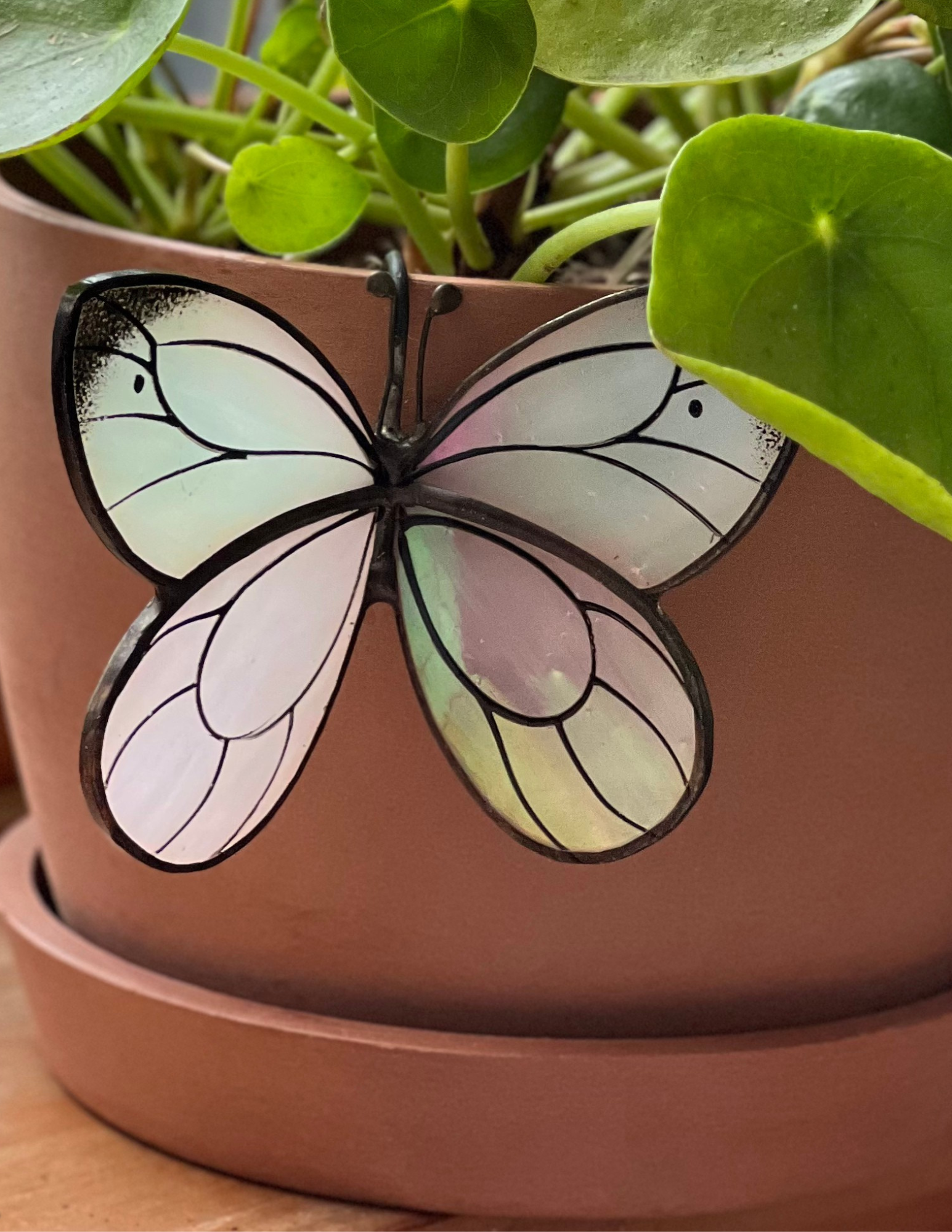 White Butterfly Pot Hugger