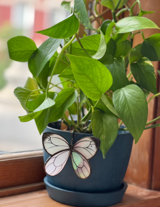 White Butterfly Pot Hugger on Windowsill