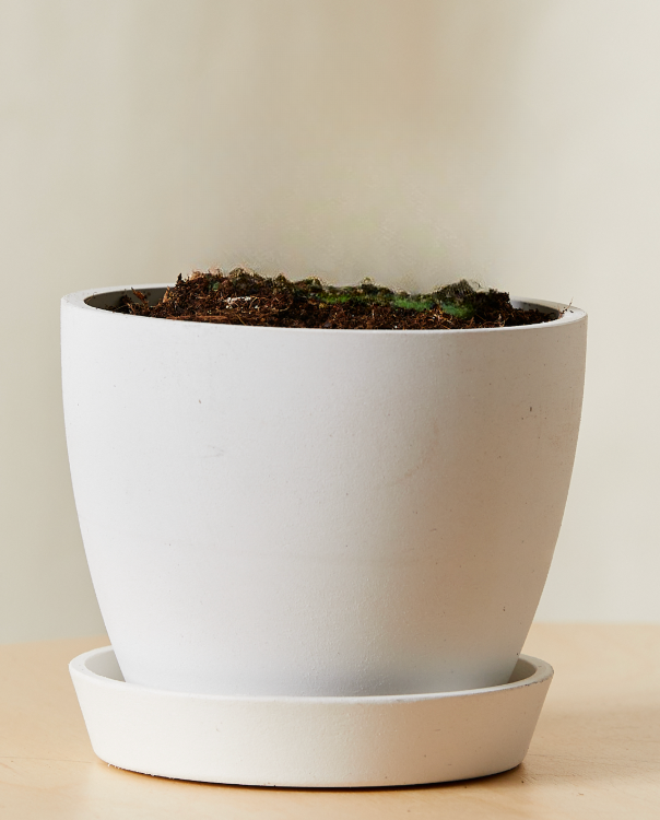 white-xs-pot